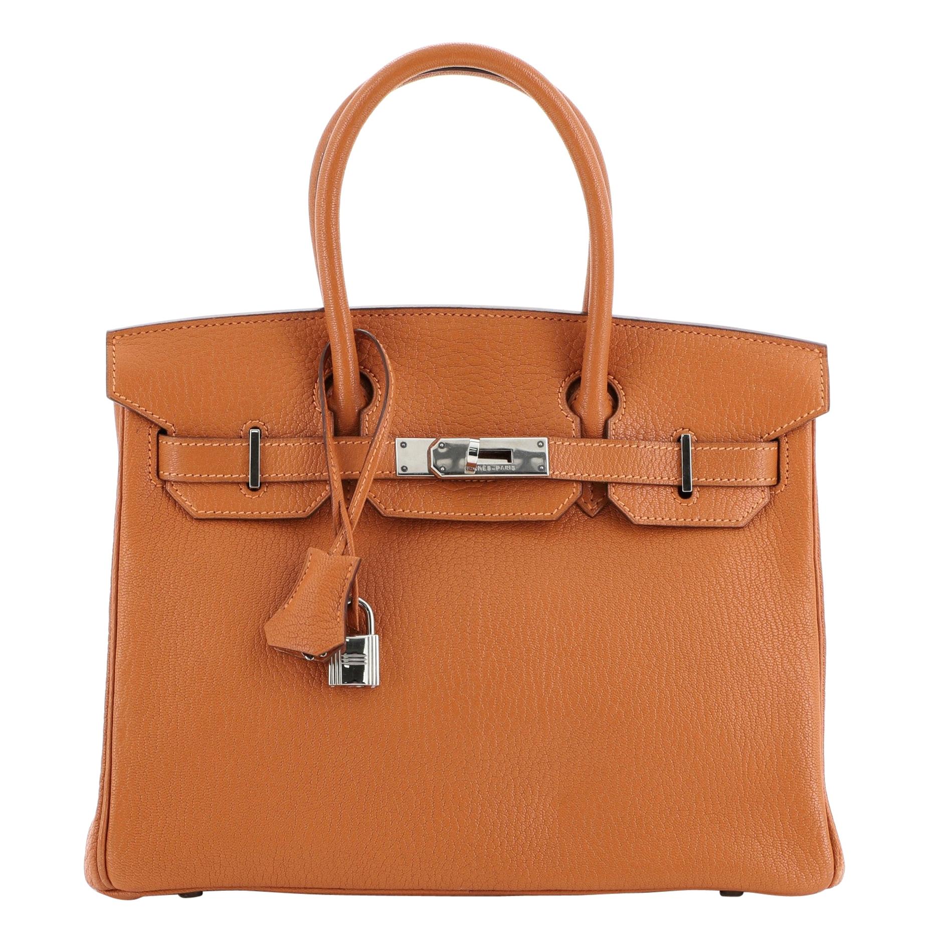 Hermes Birkin Handbag Potiron Chevre de Coromandel with Palladium Hardware 30