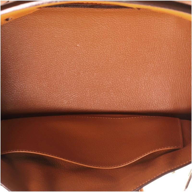 Hermes Birkin Handbag Potiron Clemence with Palladium Hardware 30 1
