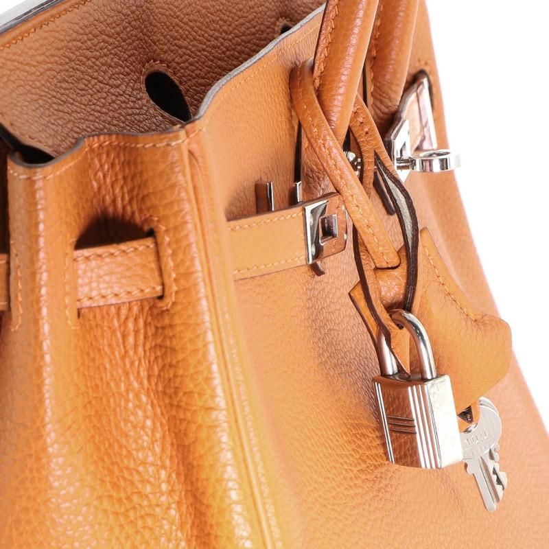 Hermes Birkin Handbag Potiron Togo With Palladium Hardware 25 4