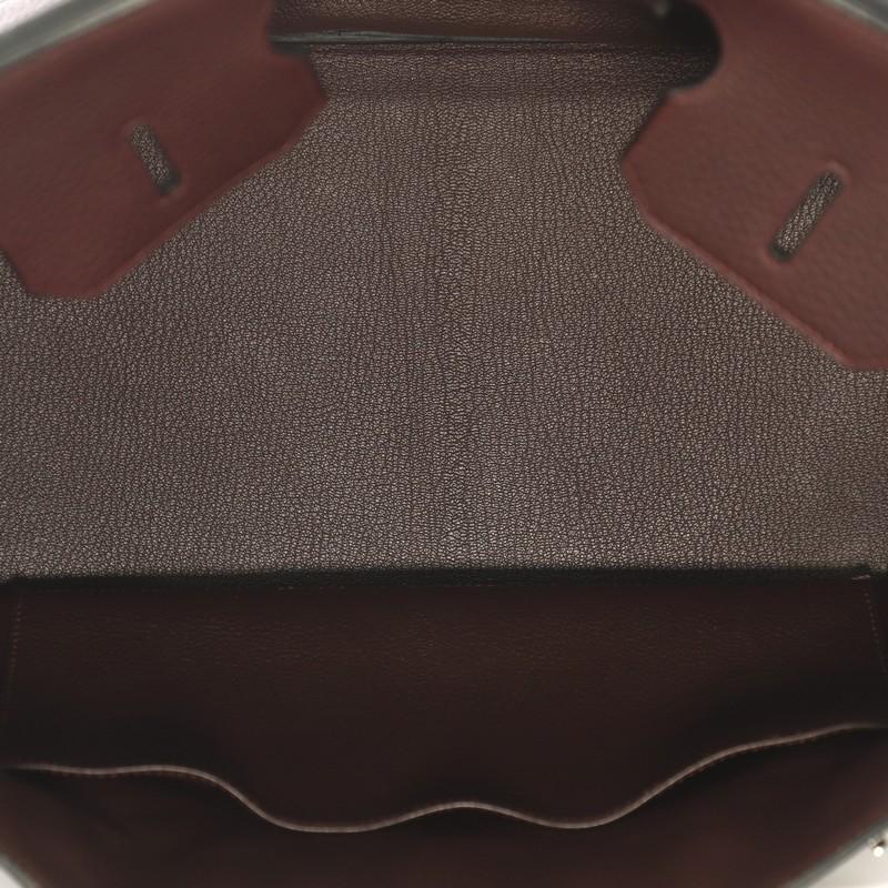 Hermes Birkin Handbag Prune Clemence with Palladium Hardware 35 1