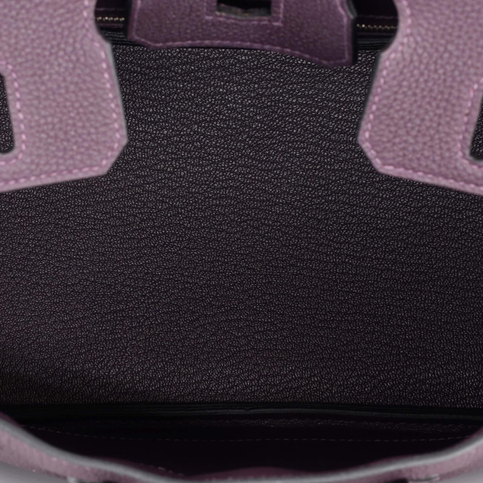 Hermes Birkin Handbag Raisin Togo with Palladium Hardware 25 For Sale 2