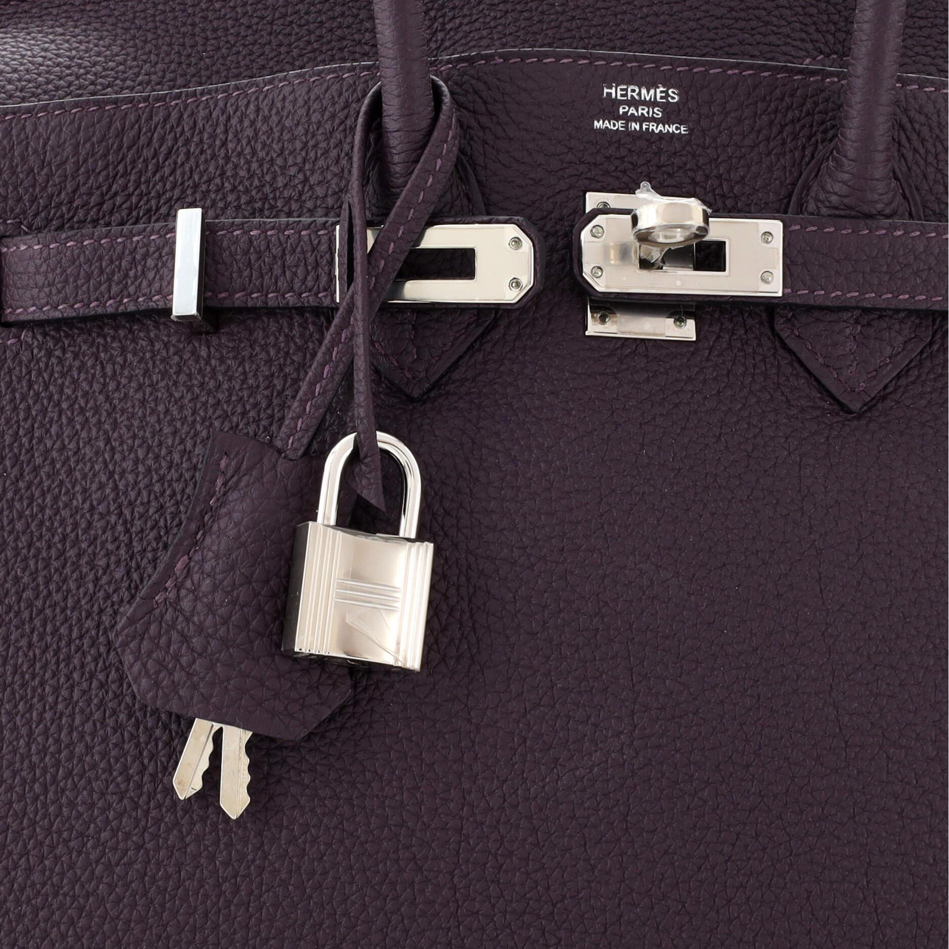 Hermes Birkin Handbag Raisin Togo with Palladium Hardware 25 For Sale 3
