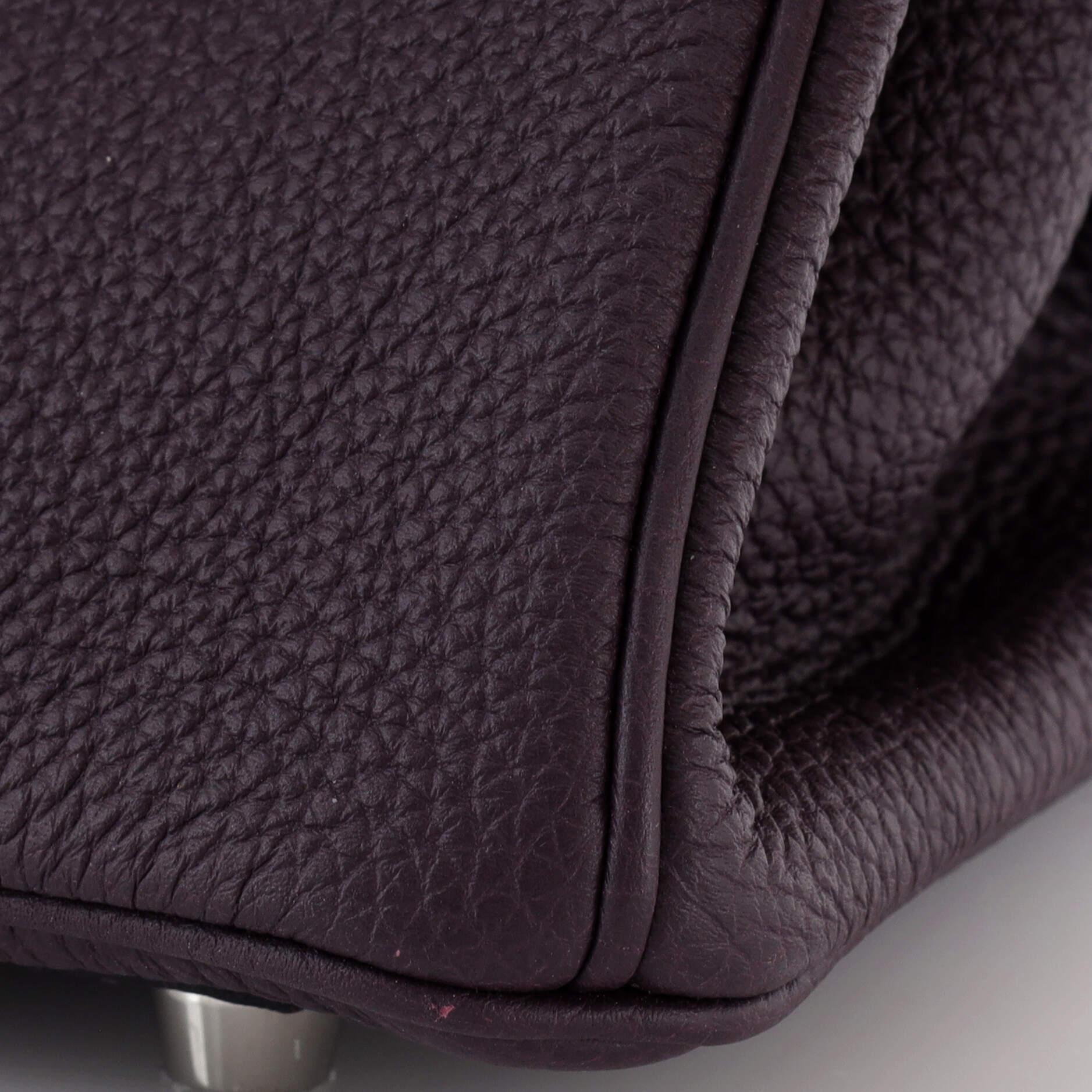 Hermes Birkin Handbag Raisin Togo with Palladium Hardware 25 For Sale 4