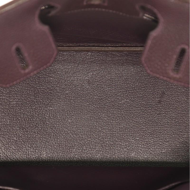 Hermes Birkin Handbag Raisin Togo with Palladium Hardware 30 1
