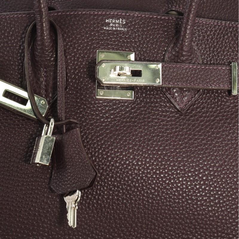 Hermes Birkin Handbag Raisin Togo with Palladium Hardware 30 2