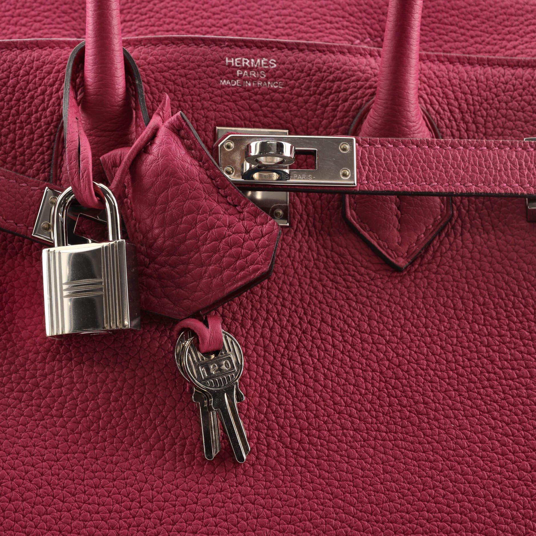 Hermes Birkin Handbag Rose Pourpre Togo with Palladium Hardware 25 2