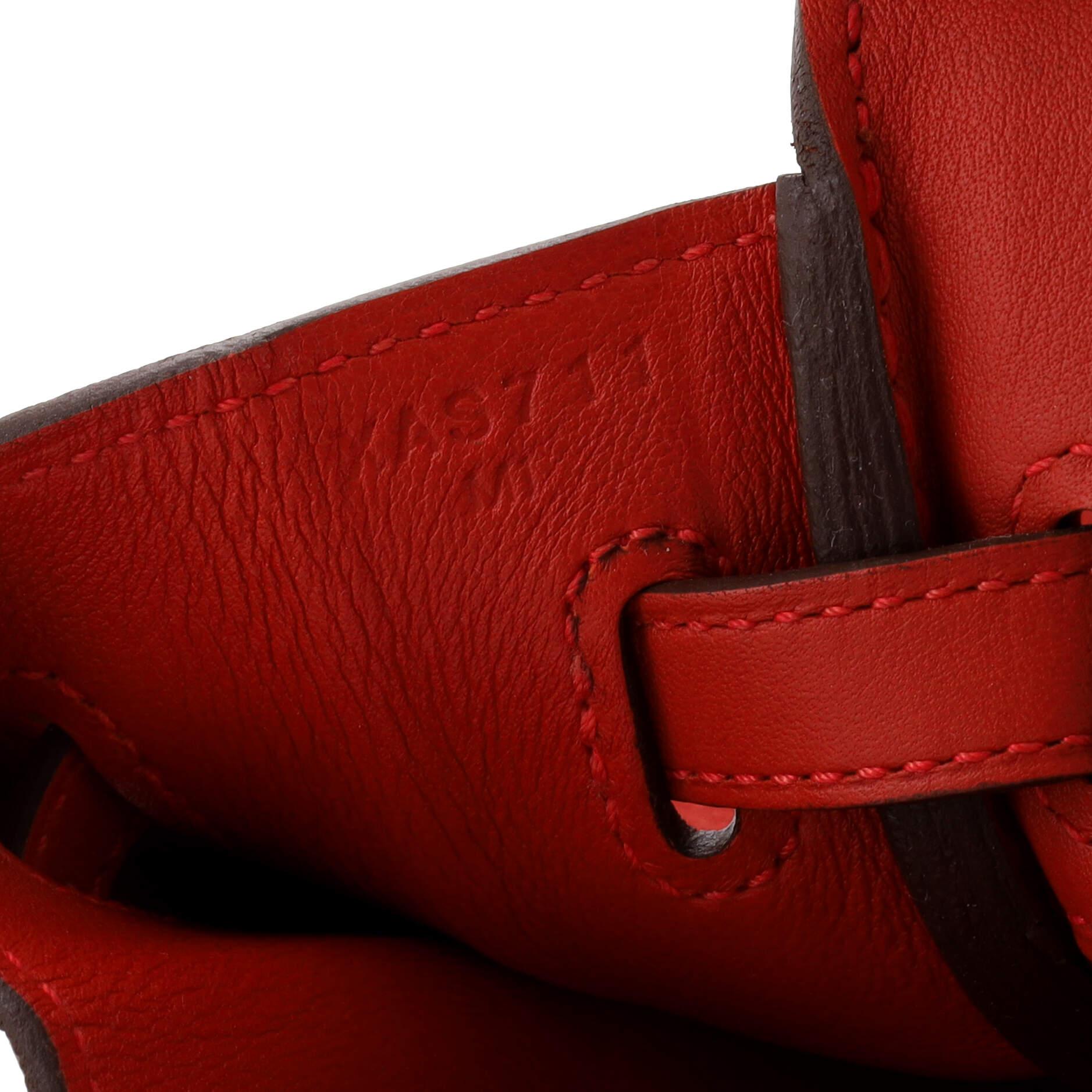 Hermes Birkin Handbag Rouge Casaque Swift with Gold Hardware 25 6