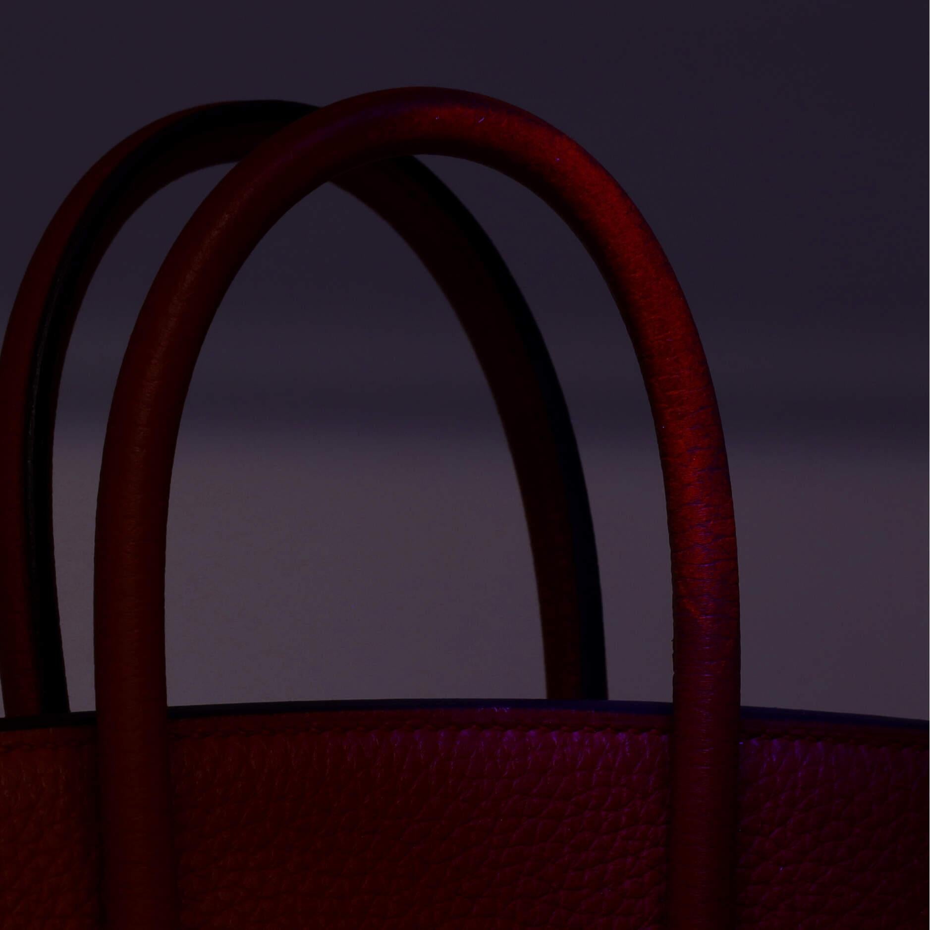 Hermes Birkin Handbag Rouge De Coeur Clemence with Gold Hardware 25 For Sale 8