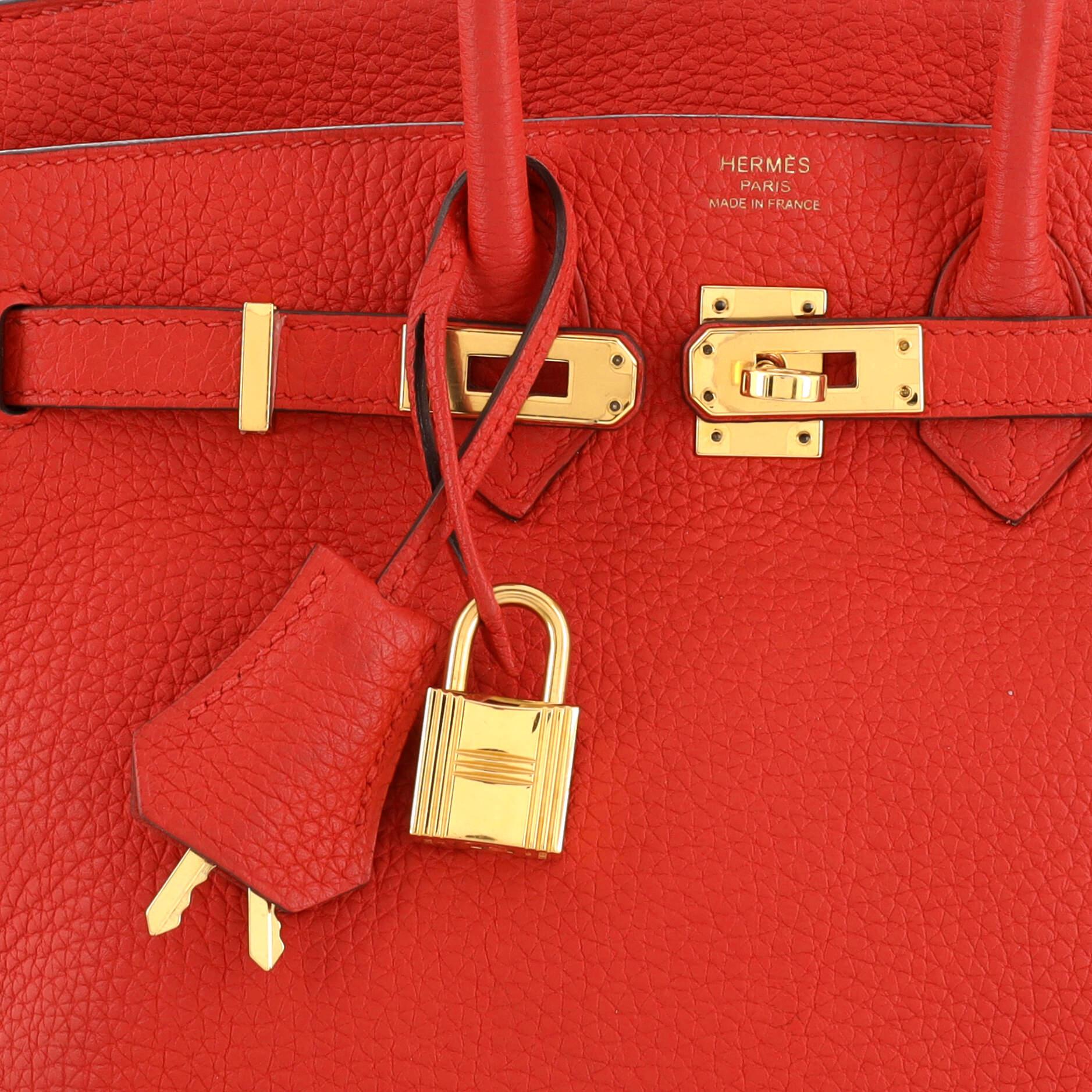 Hermes Birkin Handbag Rouge De Coeur Clemence with Gold Hardware 25 For Sale 3