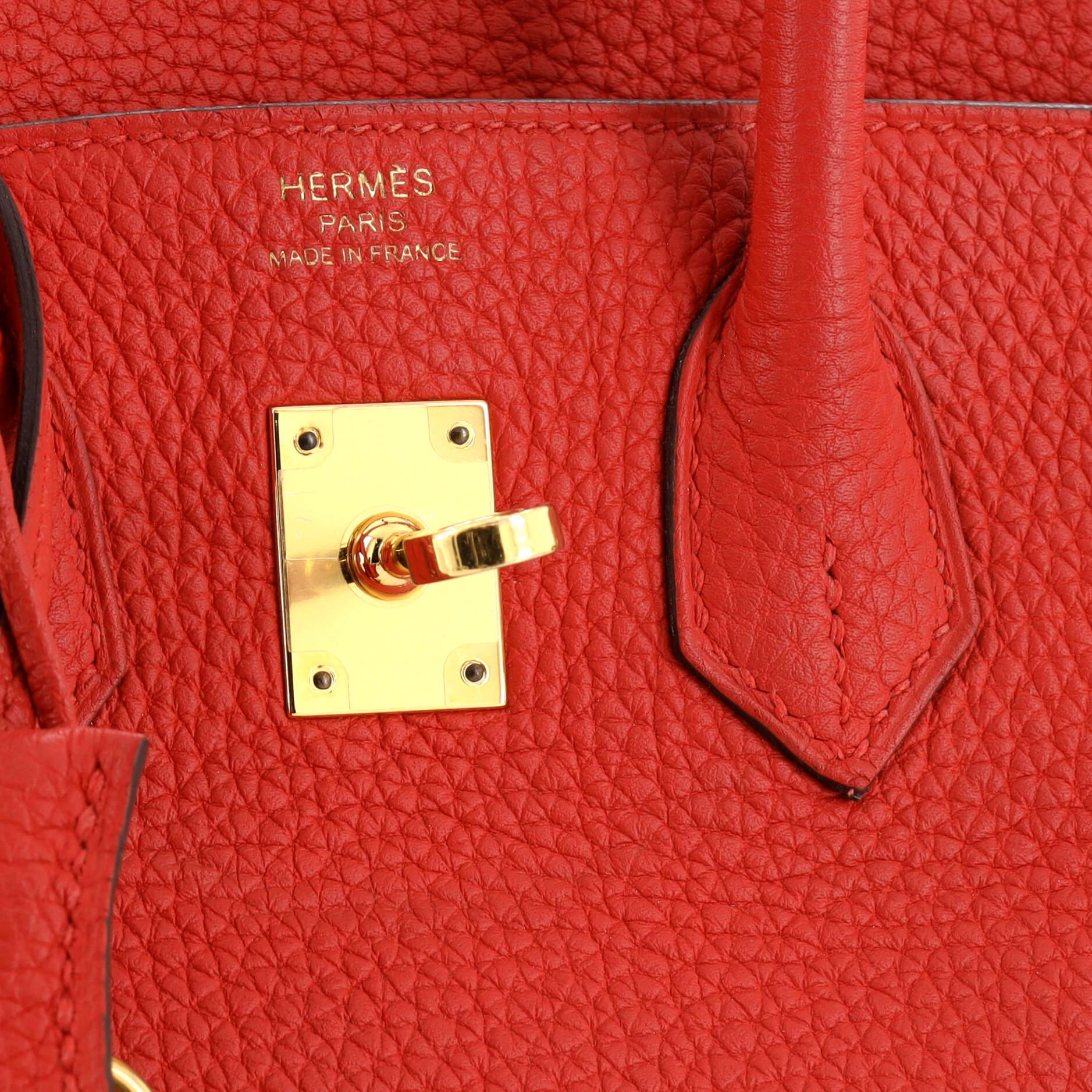 Hermes Birkin Handbag Rouge De Coeur Clemence with Gold Hardware 25 For Sale 5