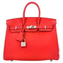 Hermes Birkin Handbag Rouge De Coeur Togo with Palladium Hardware 25