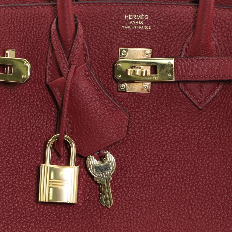 Hermes Birkin Handbag Rouge Grenat Togo With Gold Hardware 25 1
