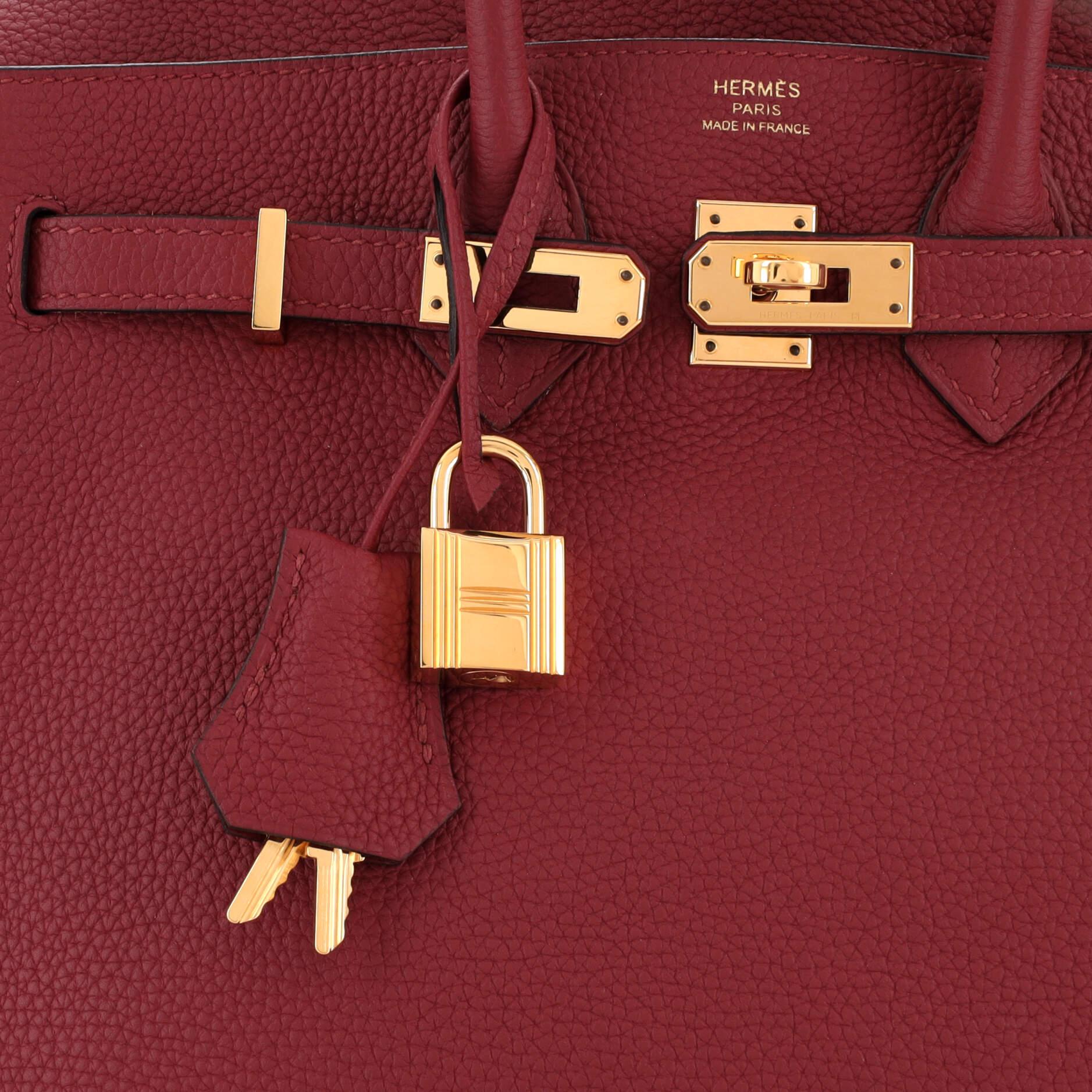 Hermes Birkin Handbag Rouge Grenat Togo with Gold Hardware 25 3