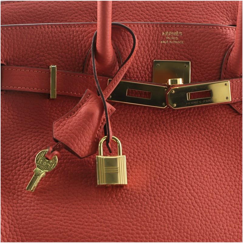 Hermes Birkin Handbag Rouge Pivoine Clemence with Gold Hardware 30 1