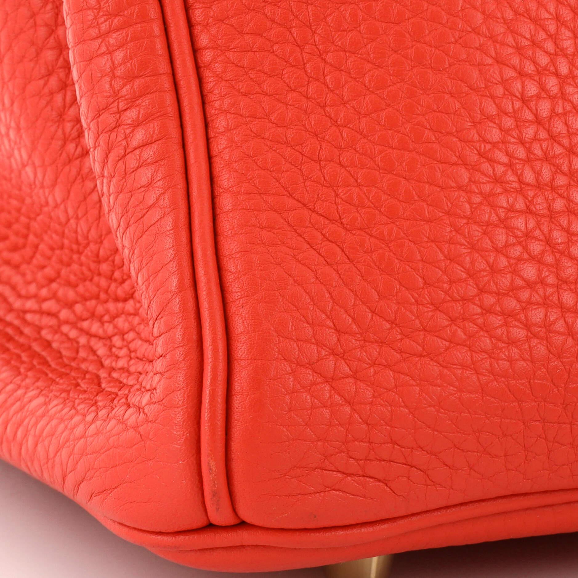 Hermes Birkin Handbag Rouge Pivoine Clemence with Gold Hardware 30 4