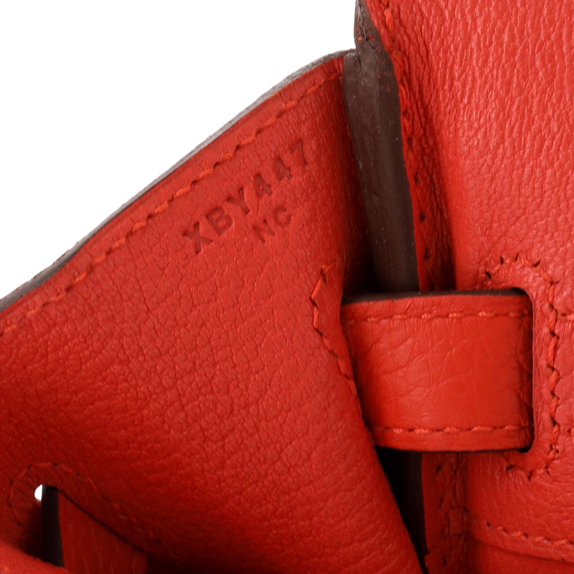 Hermes Birkin Handbag Rouge Pivoine Clemence with Gold Hardware 30 5