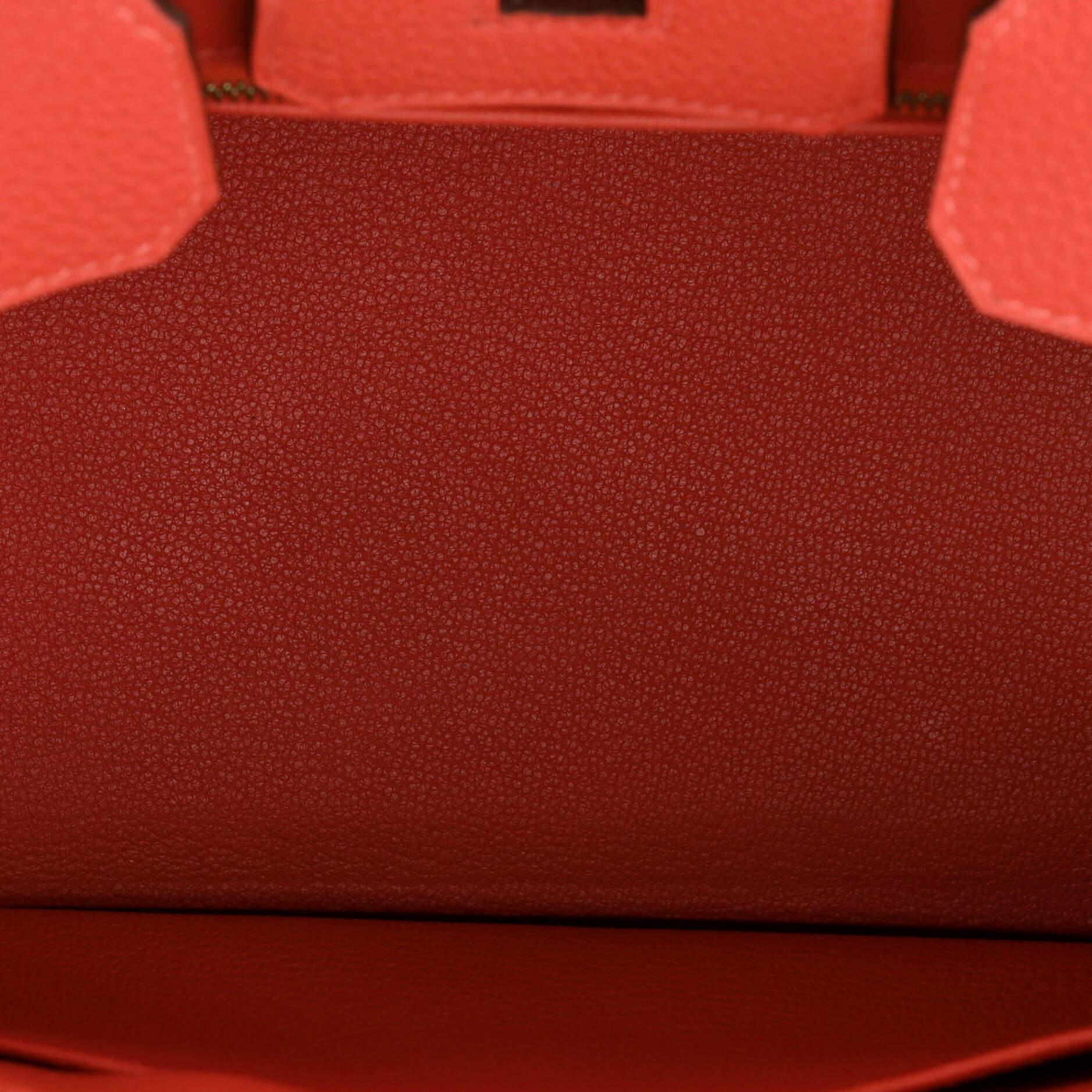 Hermes Birkin Handbag Rouge Pivoine Togo with Gold Hardware 25 2