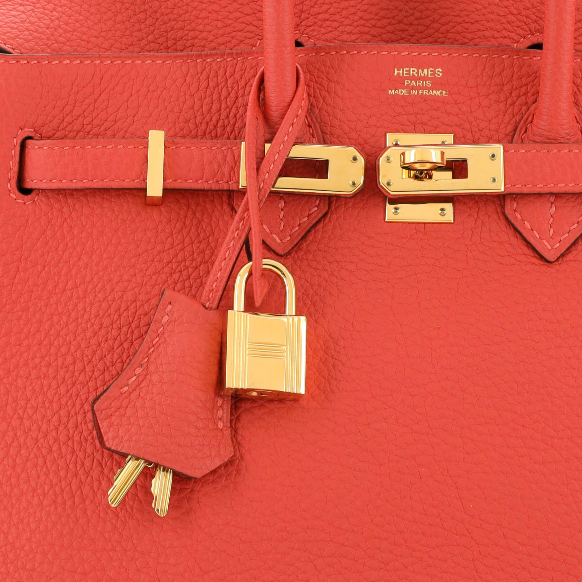 Hermes Birkin Handbag Rouge Pivoine Togo with Gold Hardware 25 3