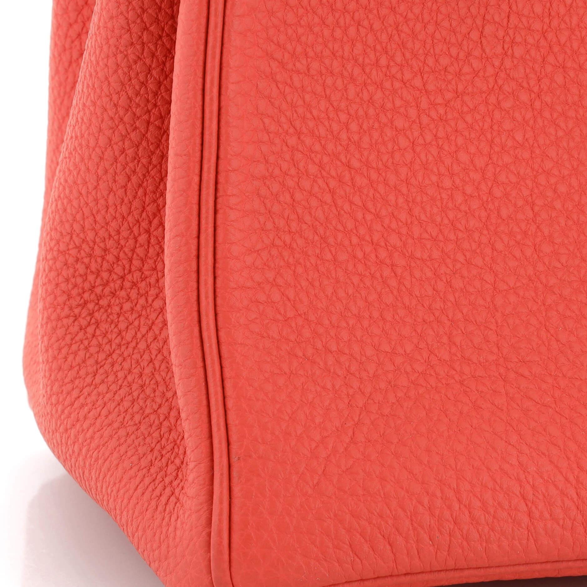 Hermes Birkin Handbag Rouge Pivoine Togo with Gold Hardware 25 4