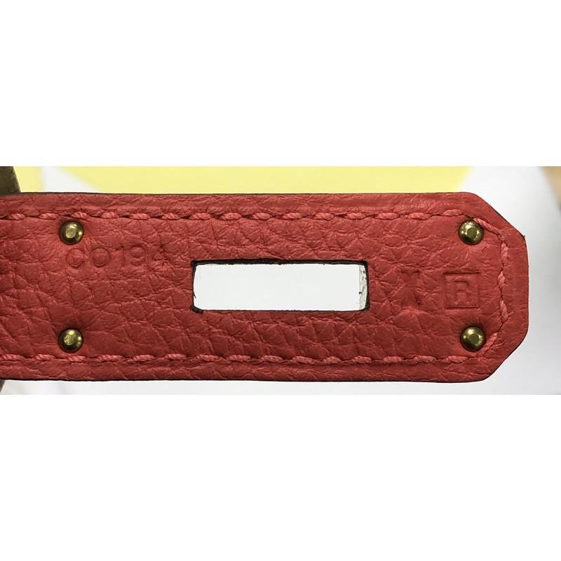 Hermes Birkin Handbag Rouge Pivoine Togo With Gold Hardware 30 5