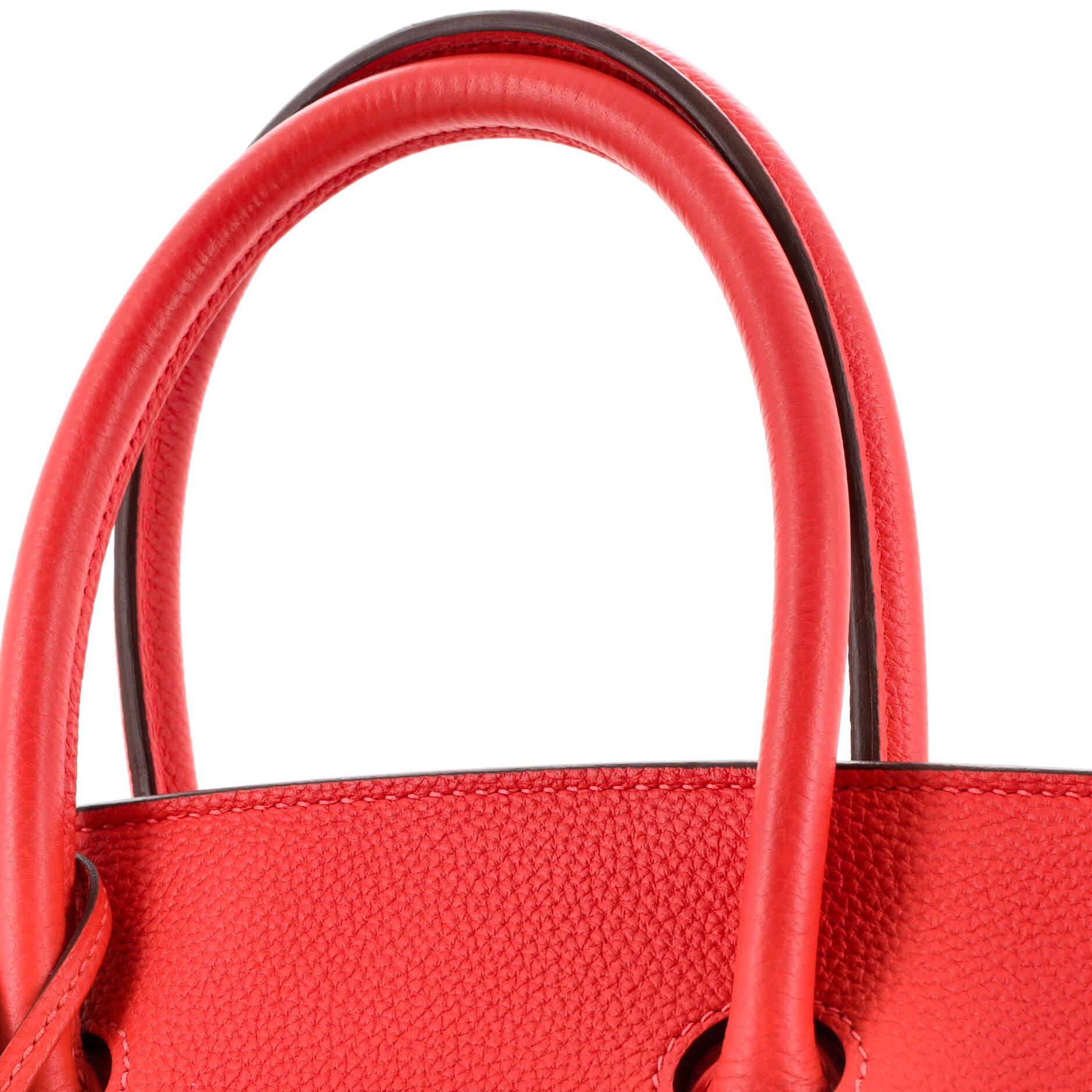Hermes Birkin Handbag Rouge Pivoine Togo with Gold Hardware 35 3