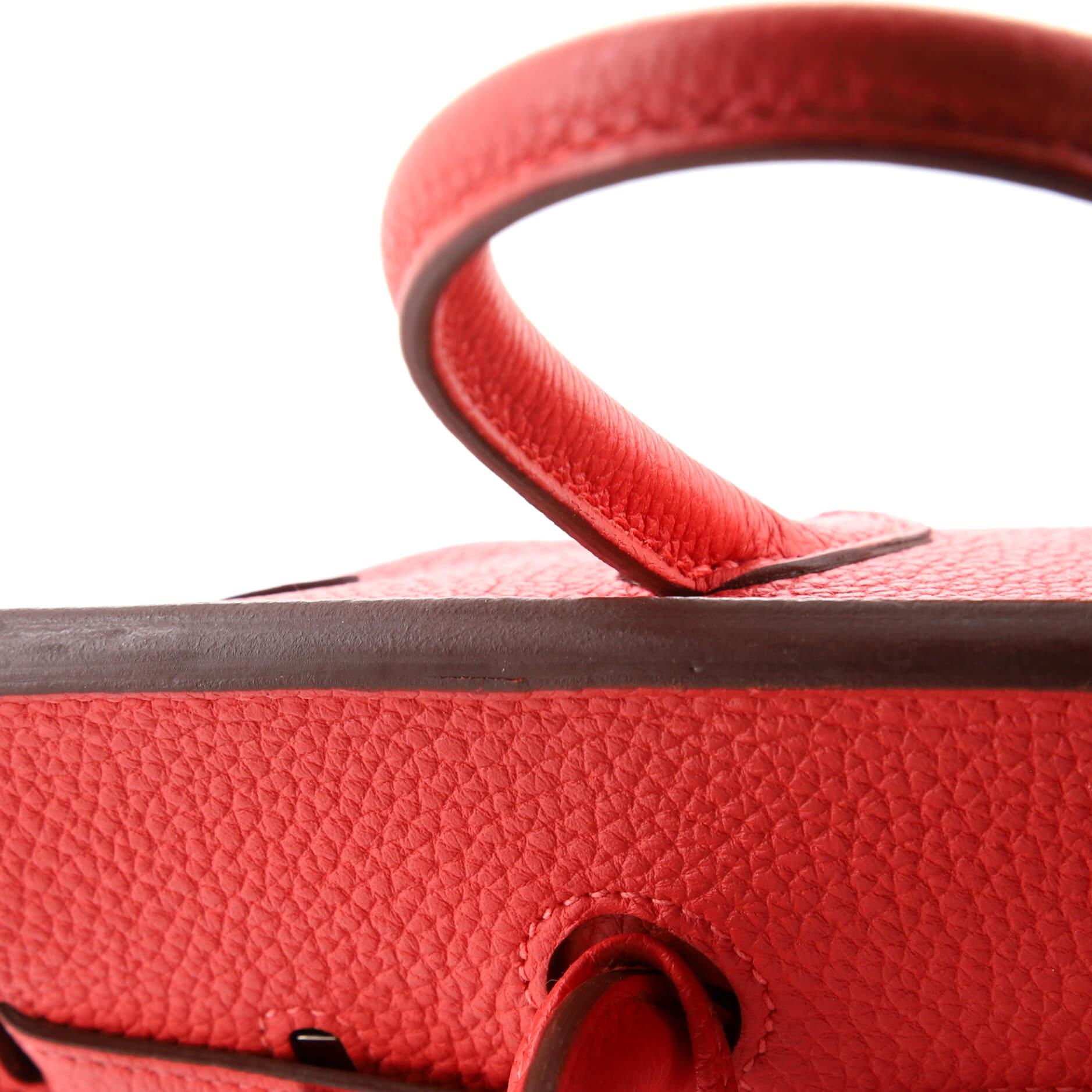 Hermes Birkin Handbag Rouge Pivoine Togo with Palladium Hardware 25 6