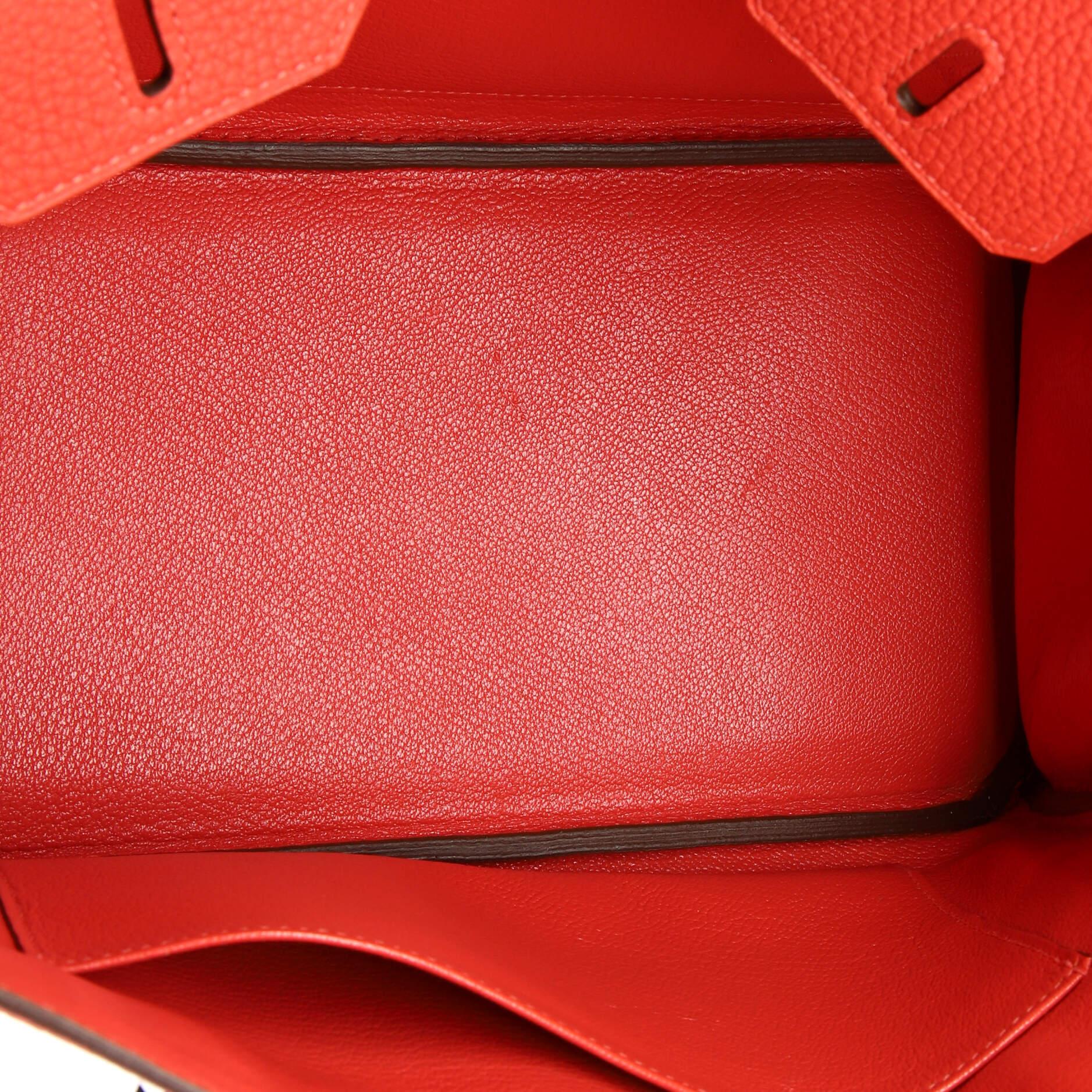 Hermes Birkin Handbag Rouge Pivoine Togo with Palladium Hardware 25 2