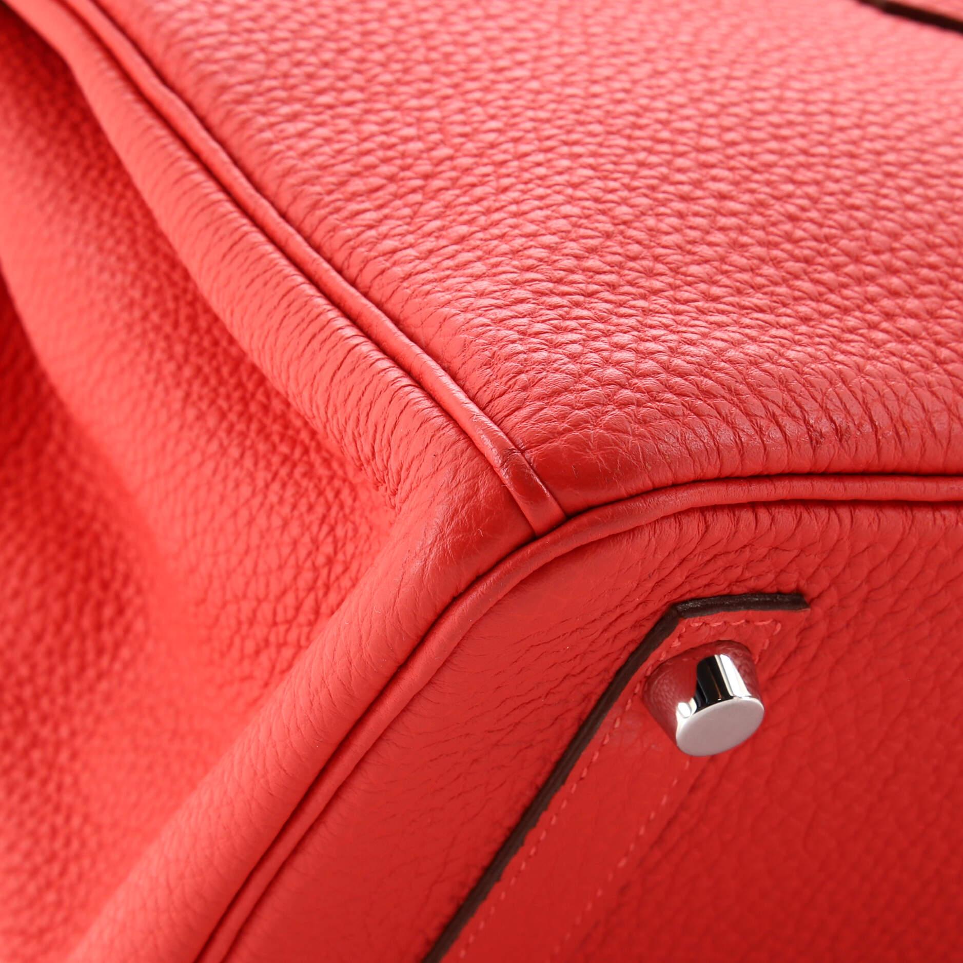 Hermes Birkin Handbag Rouge Pivoine Togo with Palladium Hardware 25 4