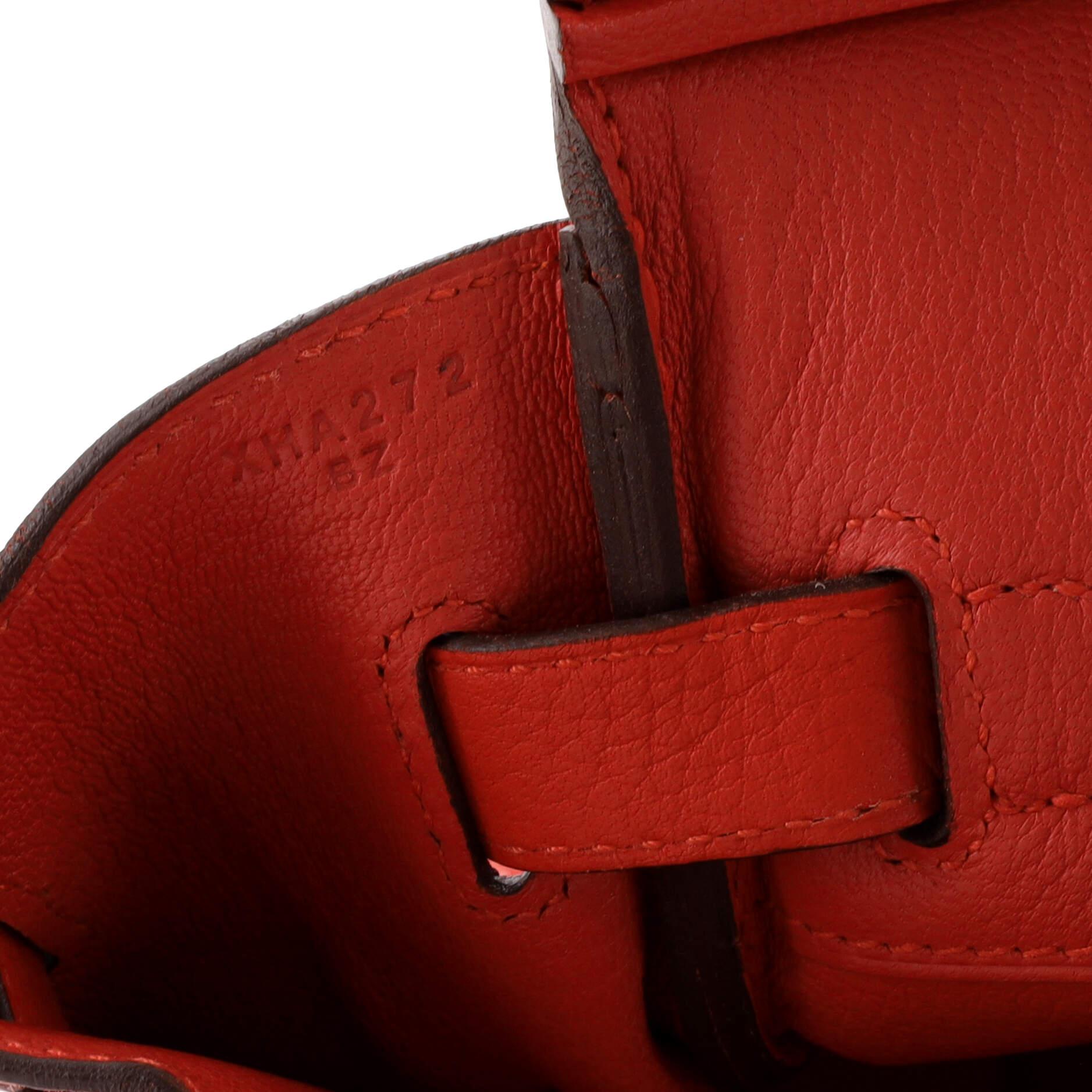 Hermes Birkin Handbag Rouge Tomate Clemence with Palladium Hardware 30 6