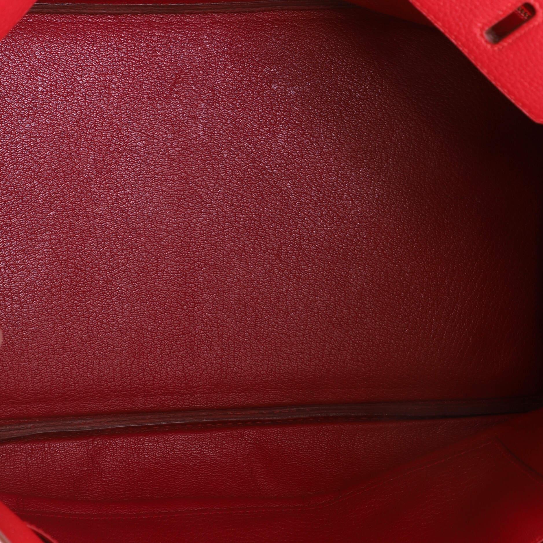 Hermes Birkin Handbag Rouge Vif Buffalo Skipper with Gold Hardware 35 1