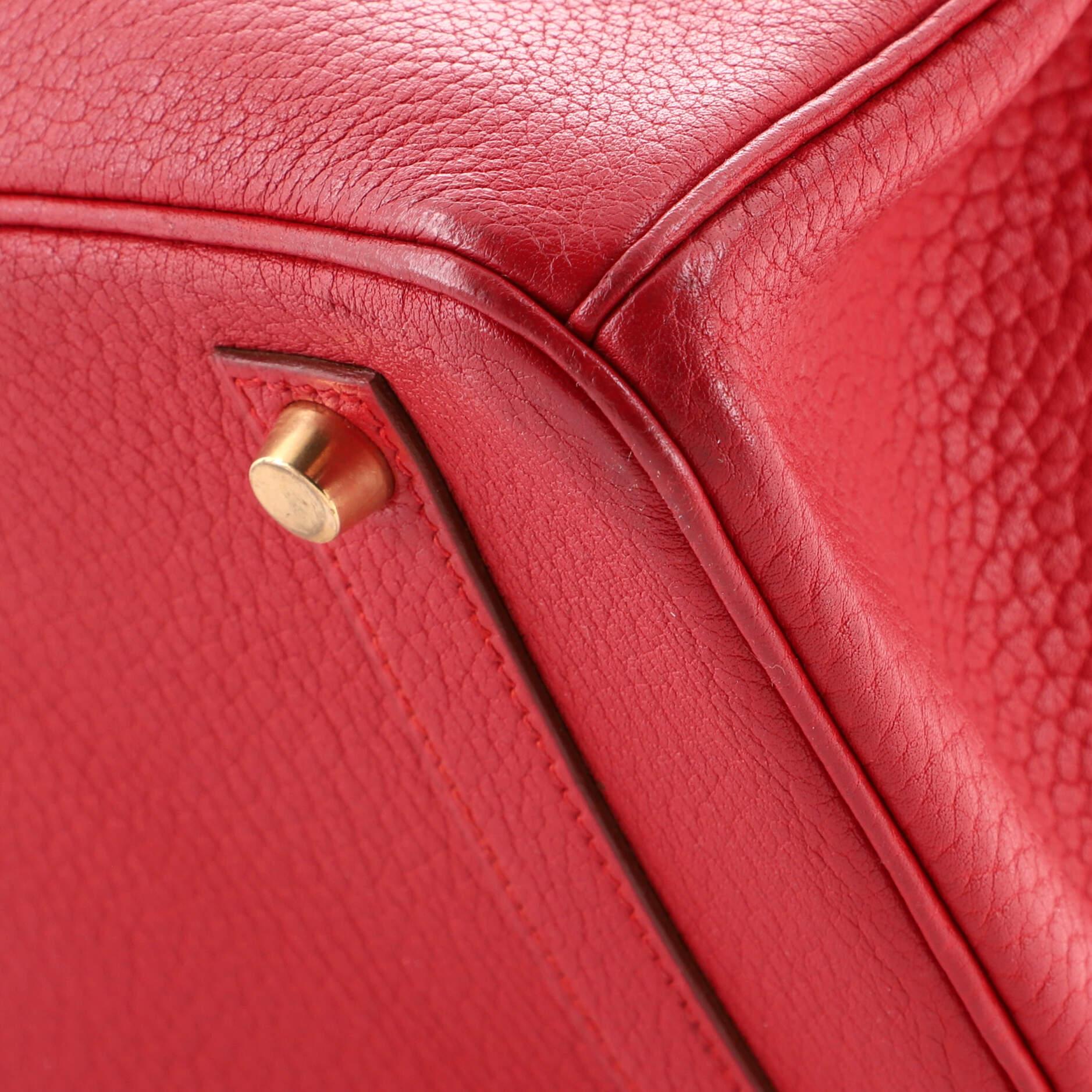 Hermes Birkin Handbag Rouge Vif Buffalo Skipper with Gold Hardware 35 2