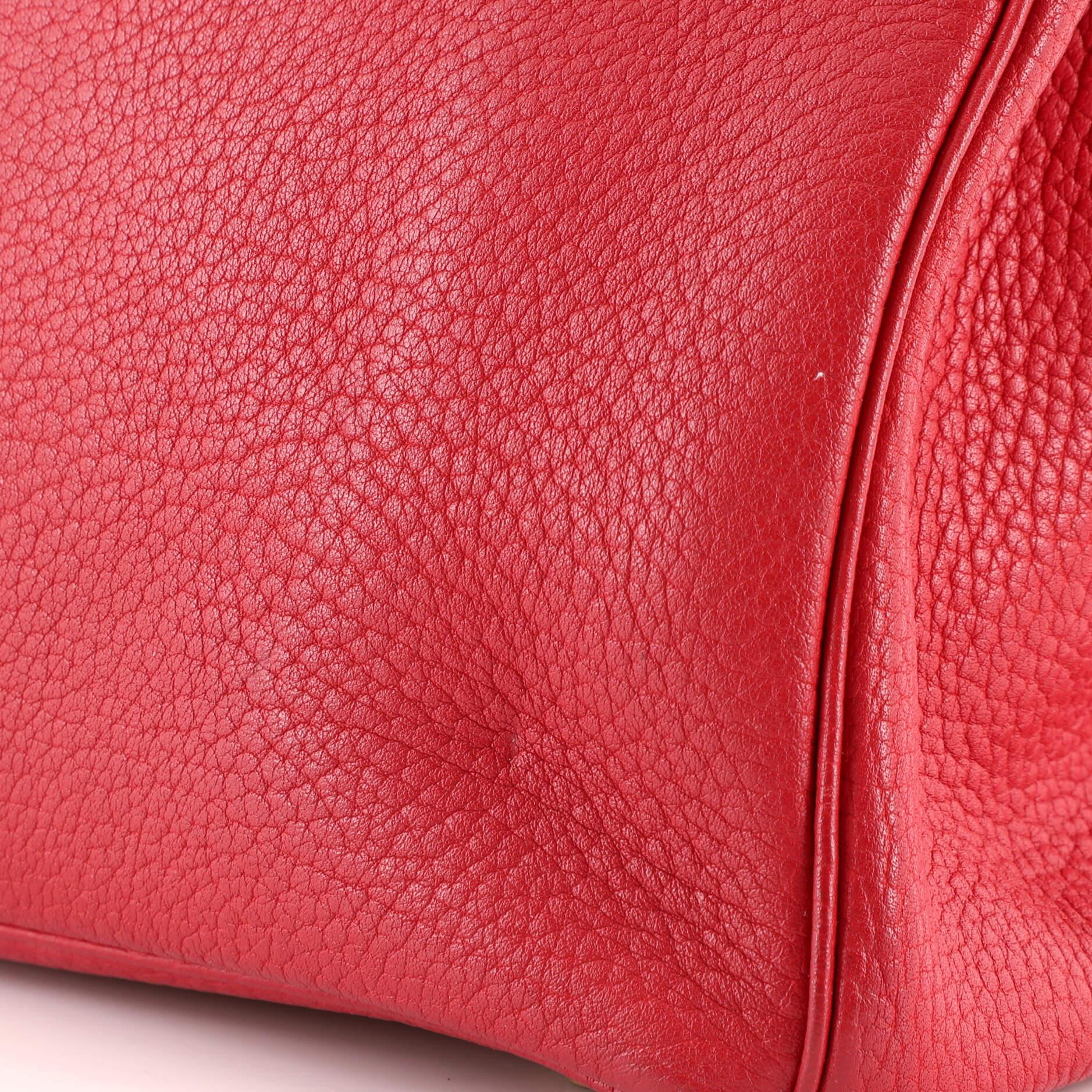 Hermes Birkin Handbag Rouge Vif Buffalo Skipper with Gold Hardware 35 3