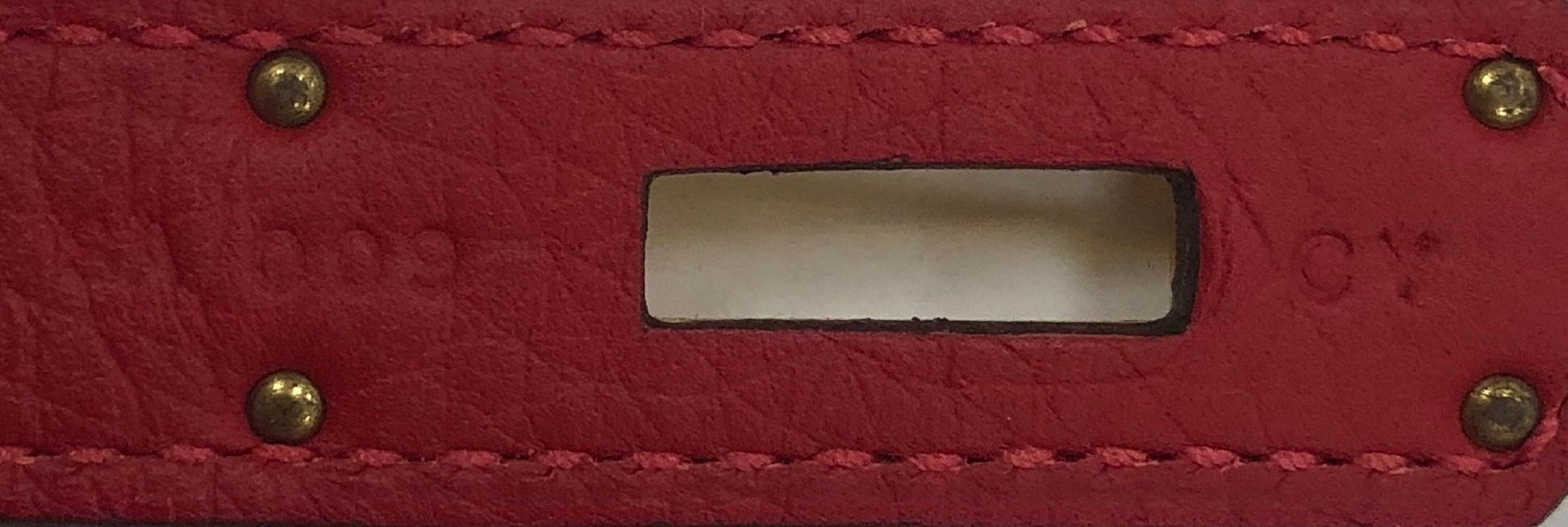 Hermes Birkin Handbag Rouge Vif Clemence with Gold Hardware 35 4