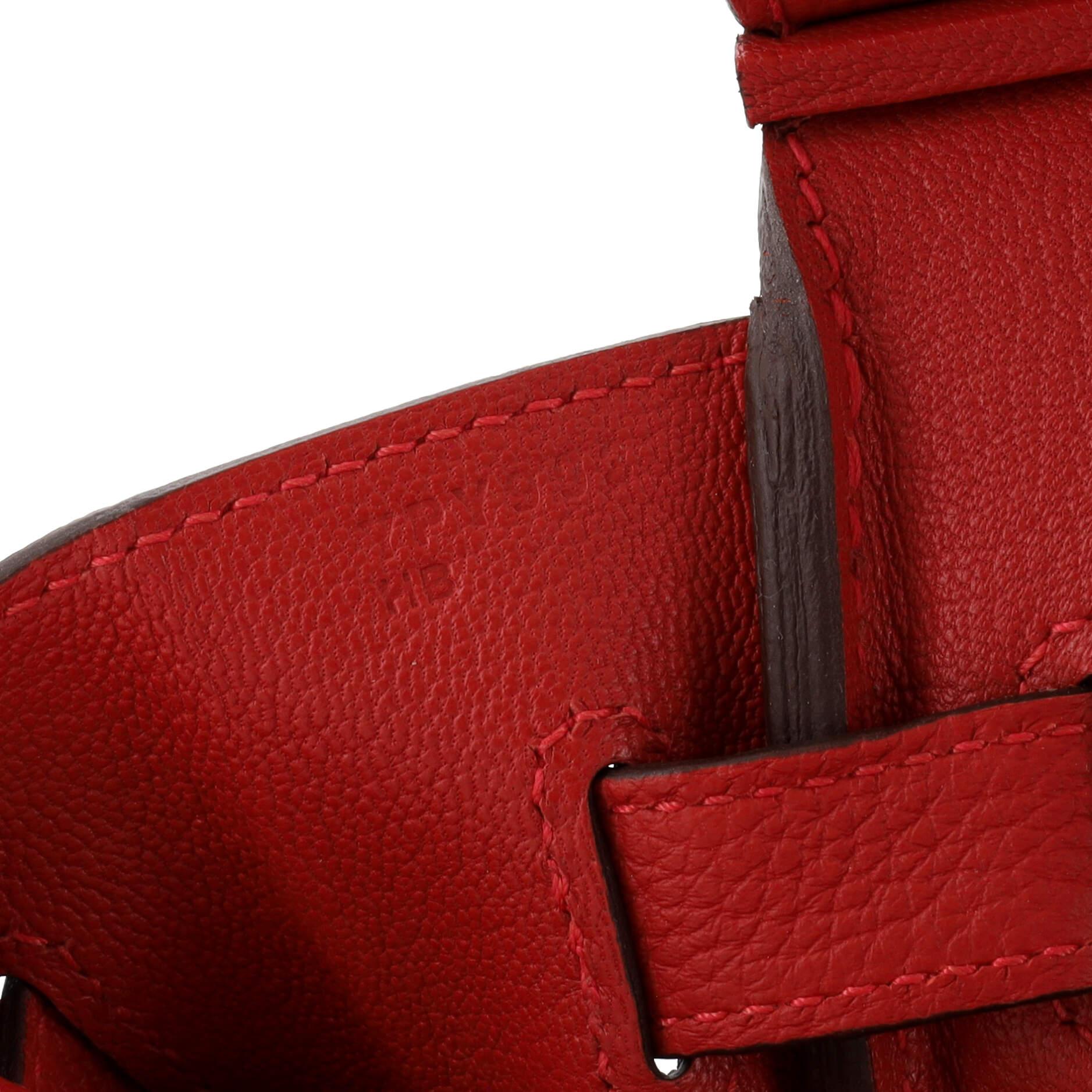 Hermes Birkin Handbag Rouge Vif Togo with Gold Hardware 30 6