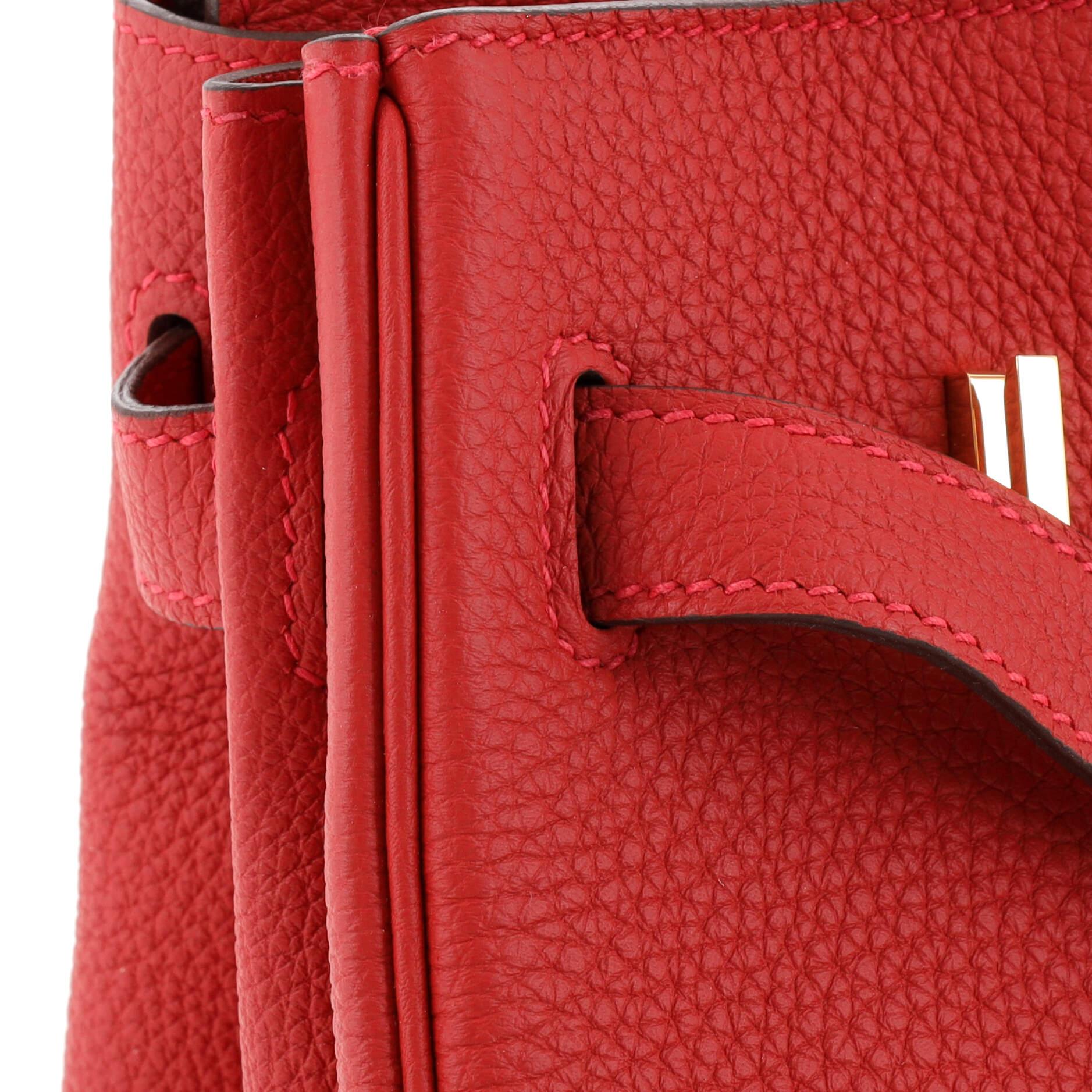 Hermes Birkin Handbag Rouge Vif Togo with Gold Hardware 30 5