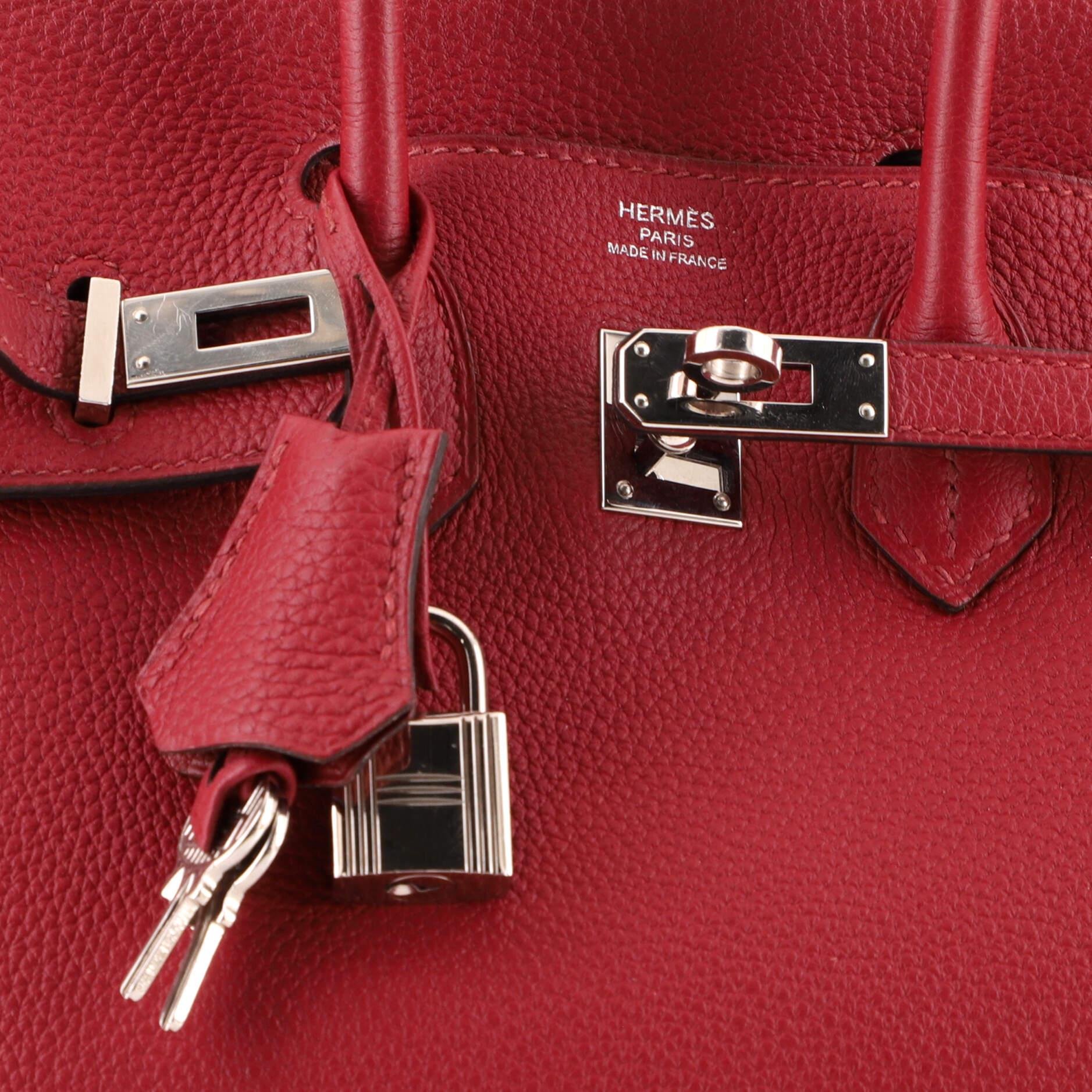 Hermes Birkin Handbag Rubis Togo with Palladium Hardware 25 1