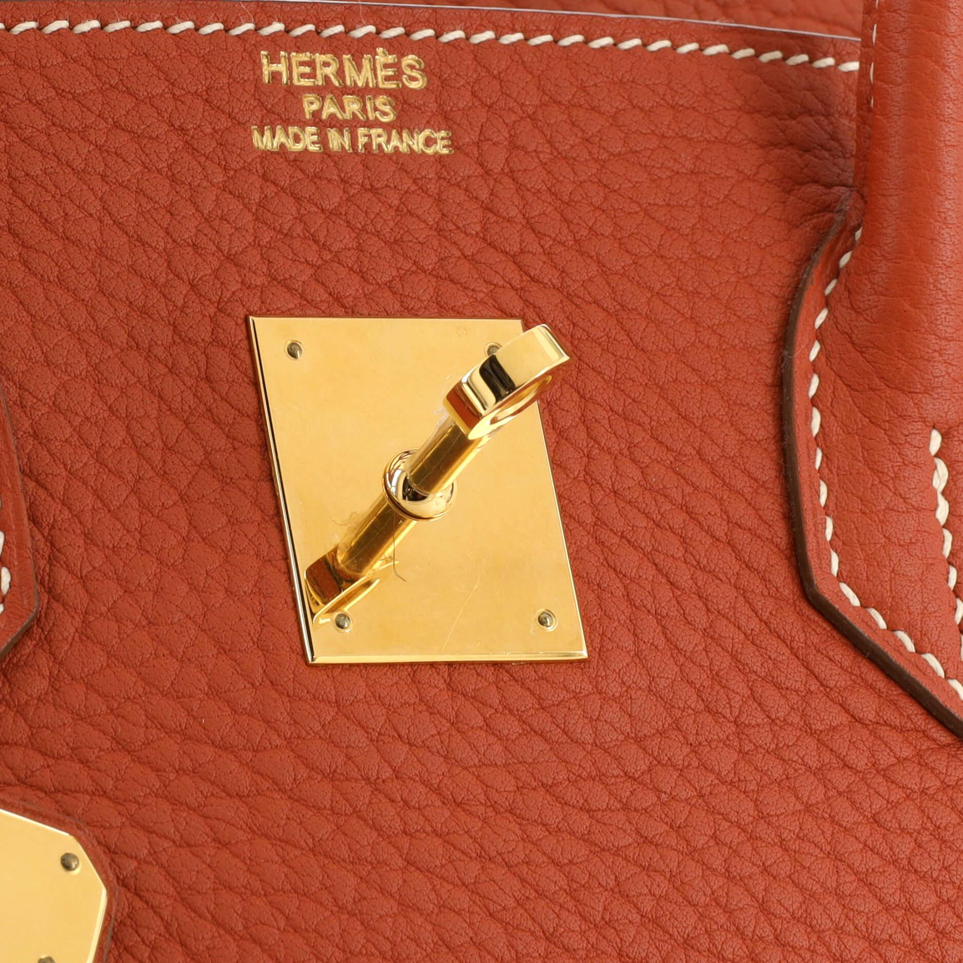 Hermes Birkin Handbag Sanguine Fjord with Gold Hardware 35 4
