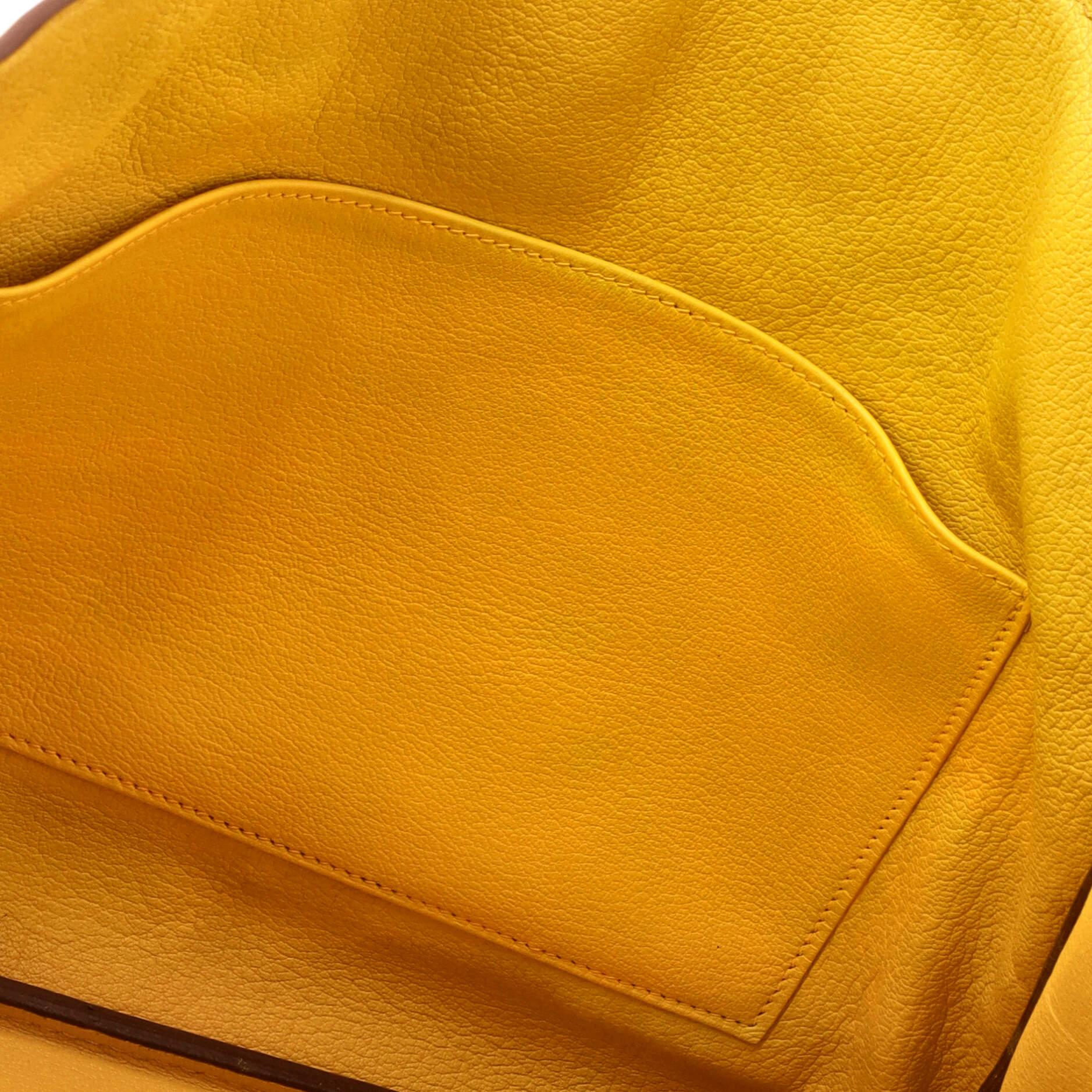Hermes Birkin Handbag Soleil Togo With Gold Hardware 35 9