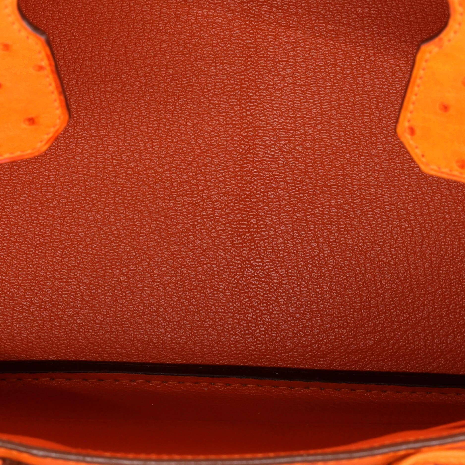 Hermes Birkin Handbag Tangerine Ostrich with Palladium Hardware 30 1