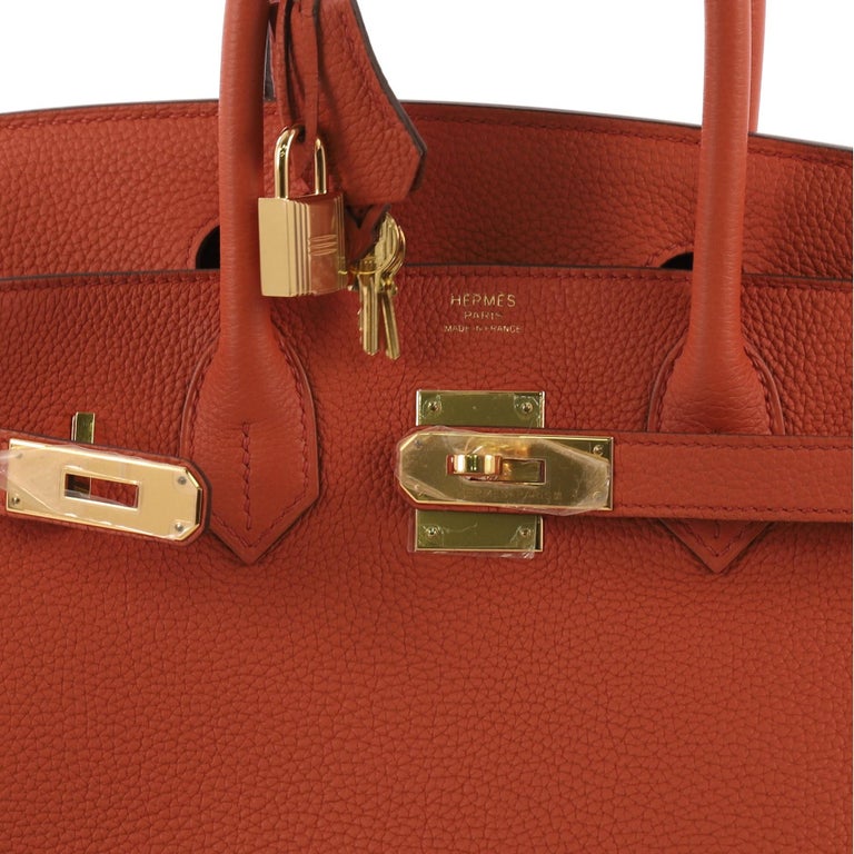 Hermes Birkin Handbag Terre Battue Togo with Gold Hardware 30 at ...