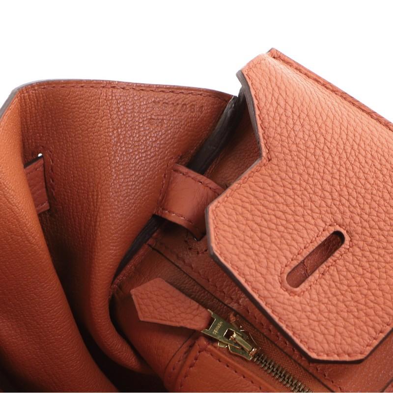 Hermes Birkin Handbag Terre Battue Togo with Gold Hardware 30 1