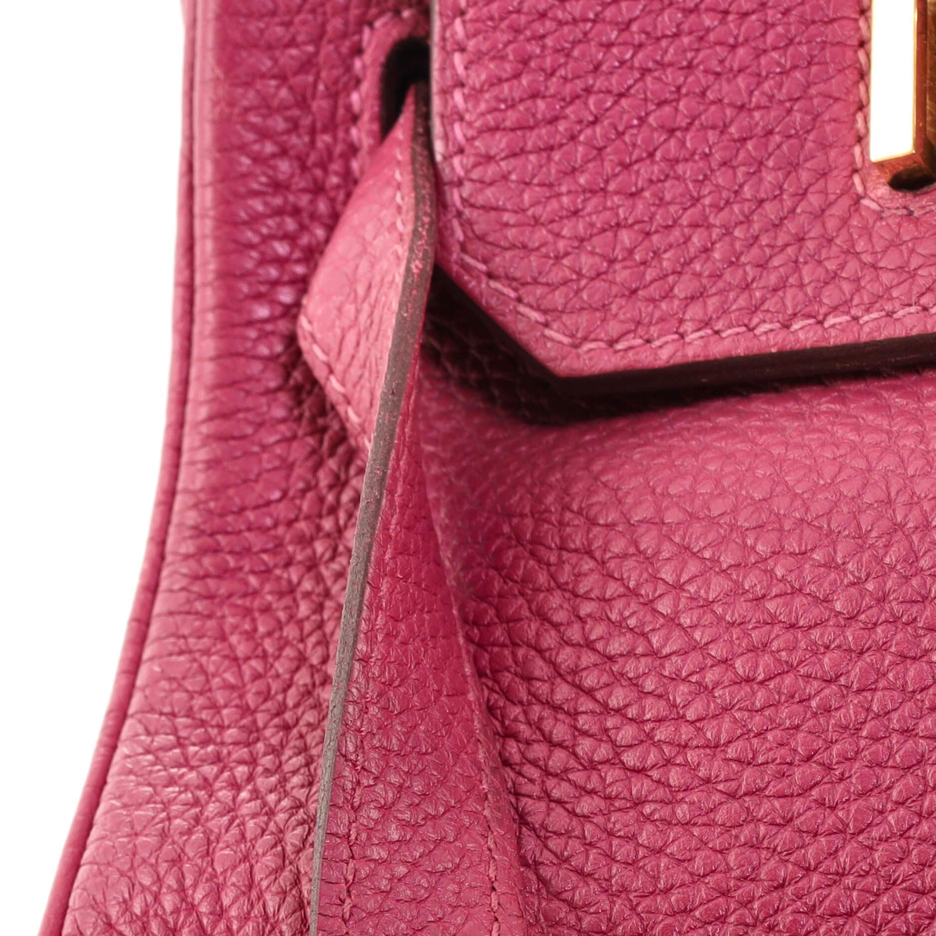 Hermes Birkin Handbag Tosca Clemence with Gold Hardware 35 2