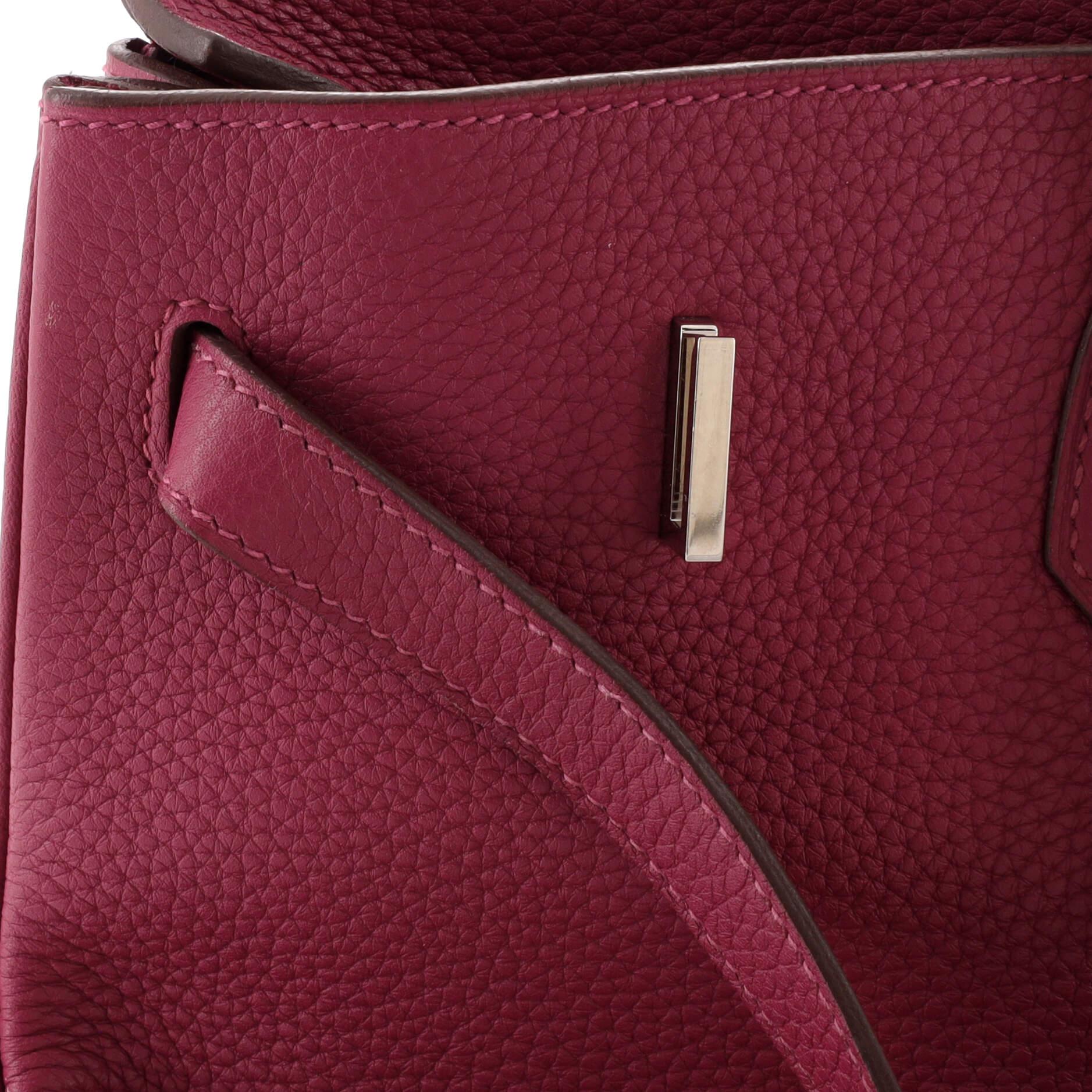 Hermes Birkin Handbag Tosca Clemence with Palladium Hardware 40 6