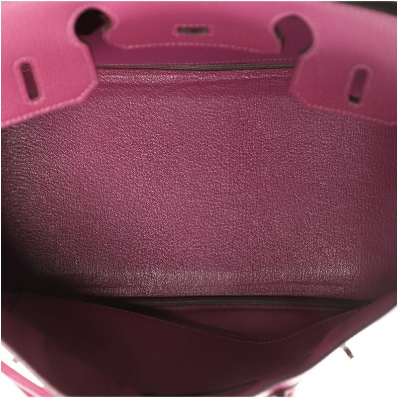 Hermes Birkin Handbag Tosca Togo with Palladium Hardware 30 1