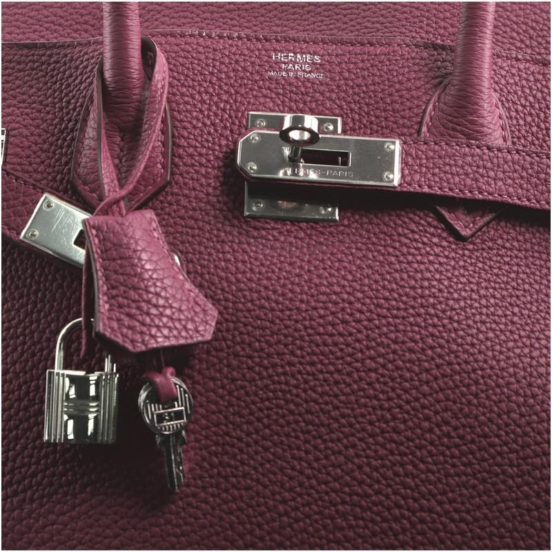 Hermes Birkin Handbag Tosca Togo with Palladium Hardware 30 1