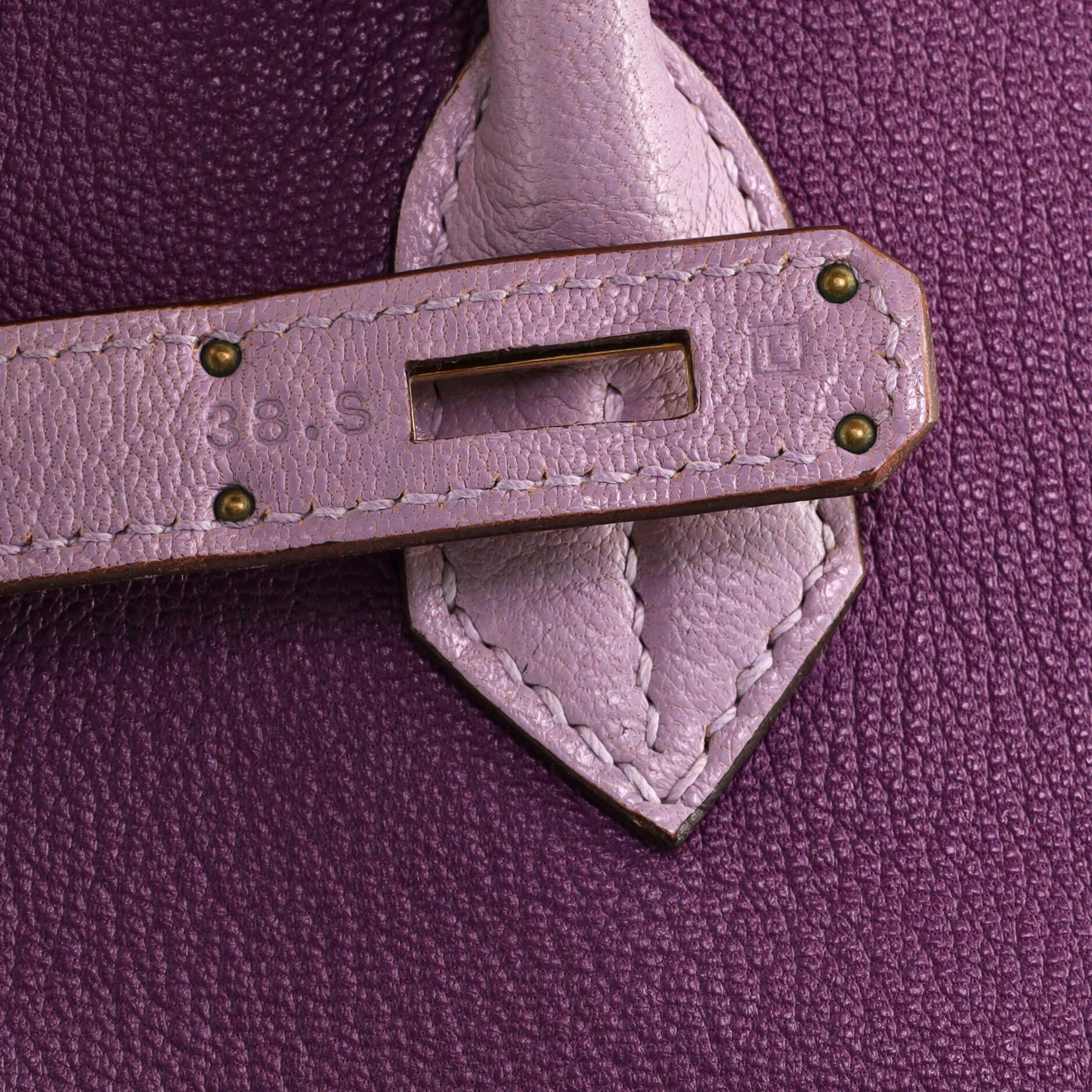 Hermes Birkin Handbag Tricolor Chevre Coromandel with Gold Hardware 30 3