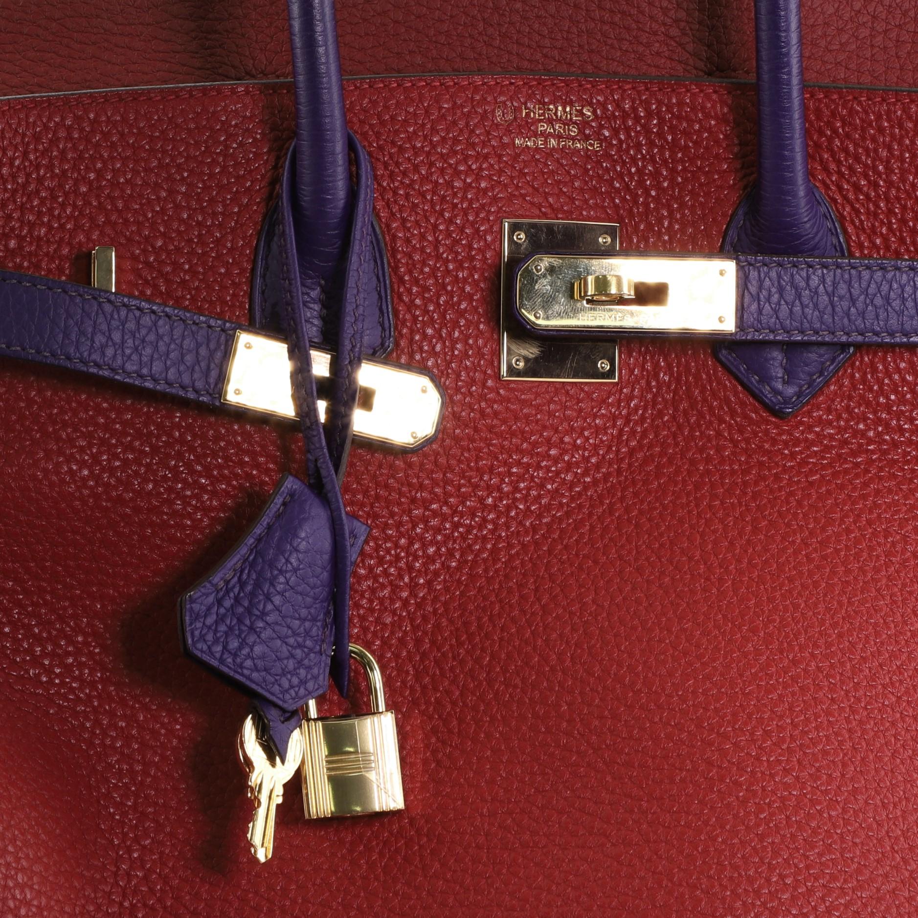 Hermes Birkin Handbag Tricolor Clemence with Gold Hardware 35 1