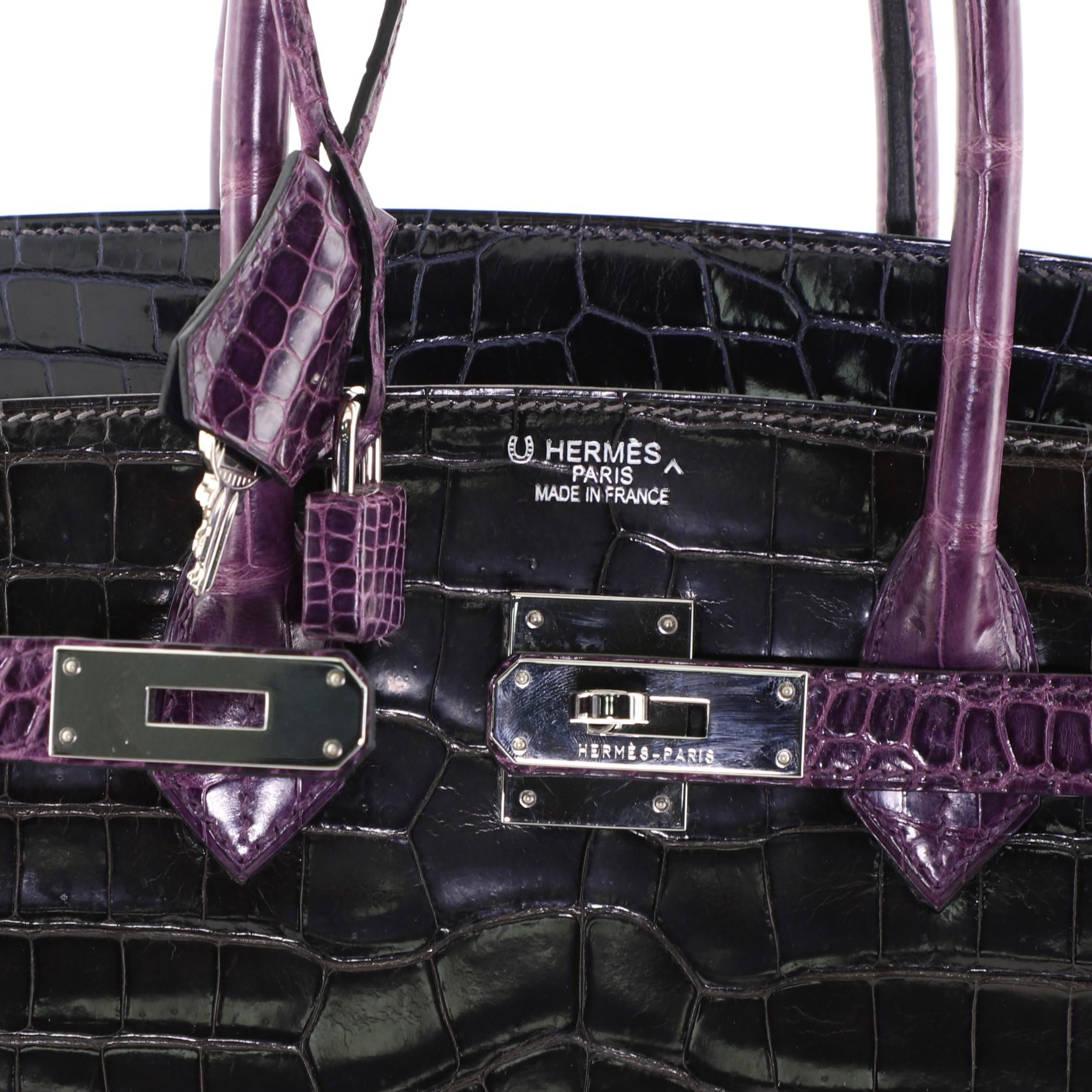 Hermes Birkin Handbag Tricolor Shiny Porosus Crocodile with Palladium Hardware 3 2