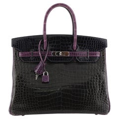 Hermes Birkin Handbag Tricolor Shiny Porosus Crocodile with Palladium Hardware 3