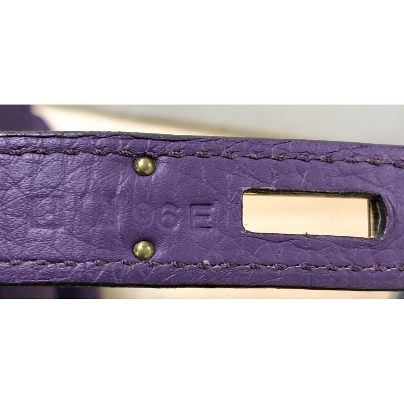 Hermes Birkin Handbag Ultraviolet Clemence with Gold Hardware 35 3